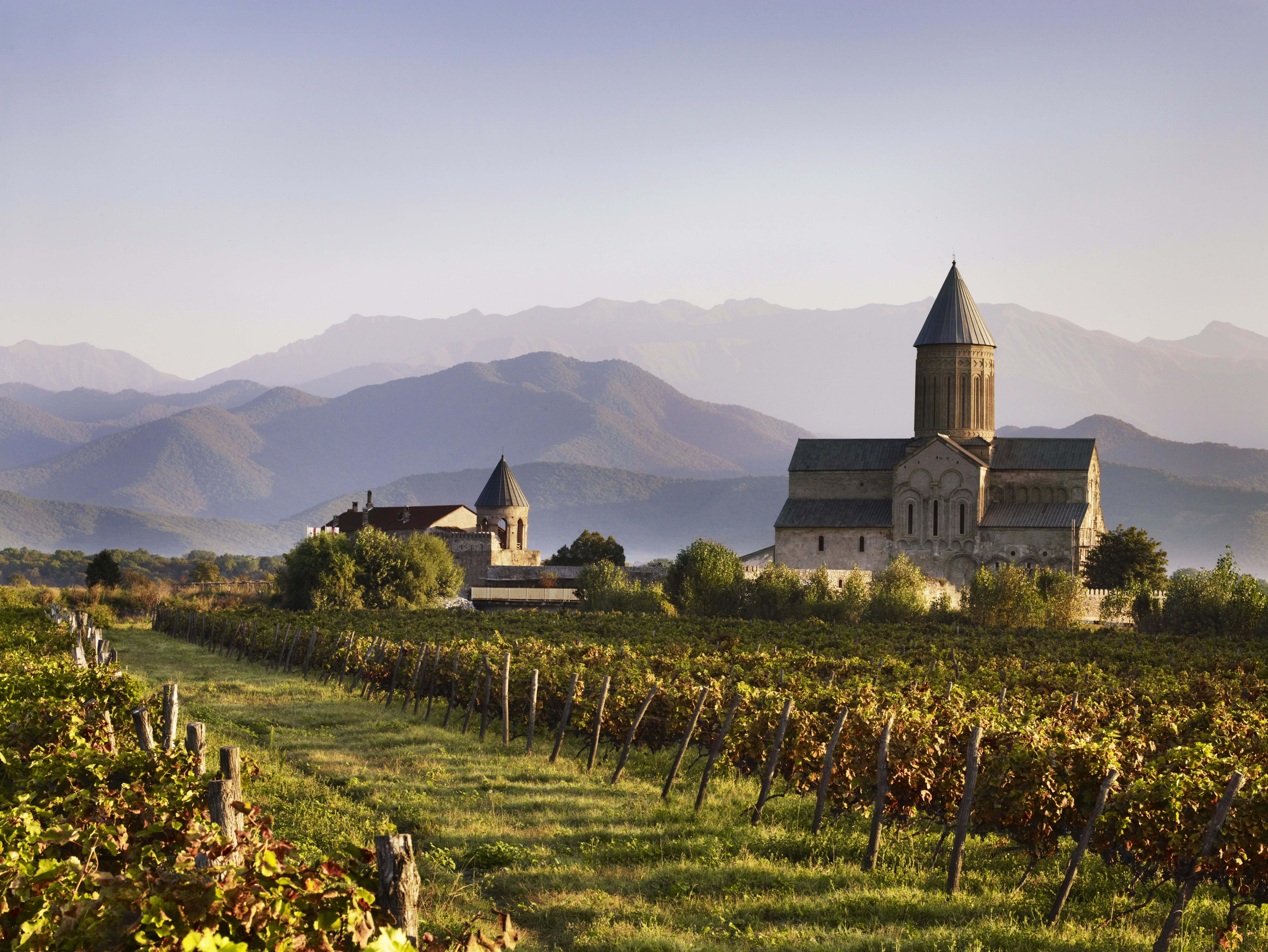 A small ancient stone church with a rounded turret stands next to a vineyard