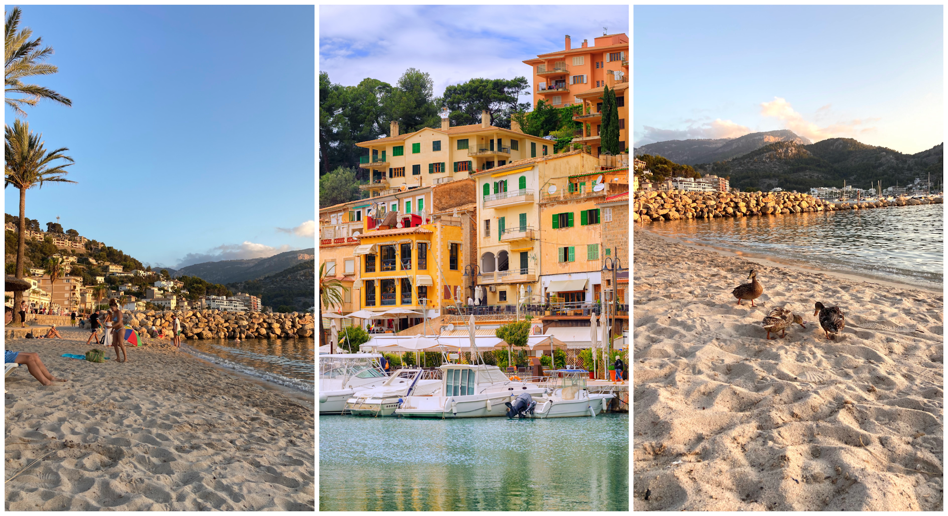 Images of Port de Soller beach with boats docked by the harbor and people and ducks relaxing on the sand
