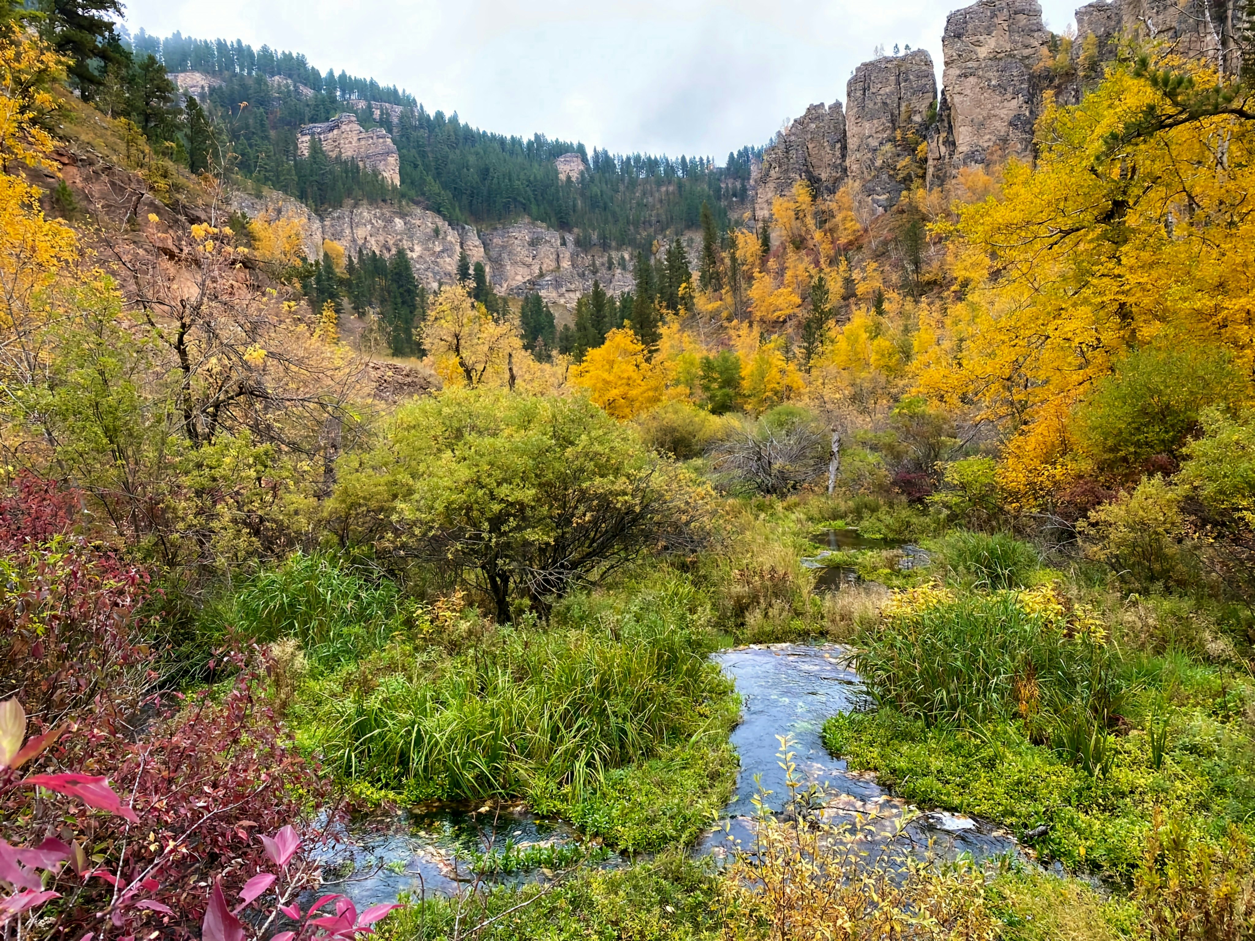 A canyon area with foliage that is turning from green to red, yellow and gold in the autumn