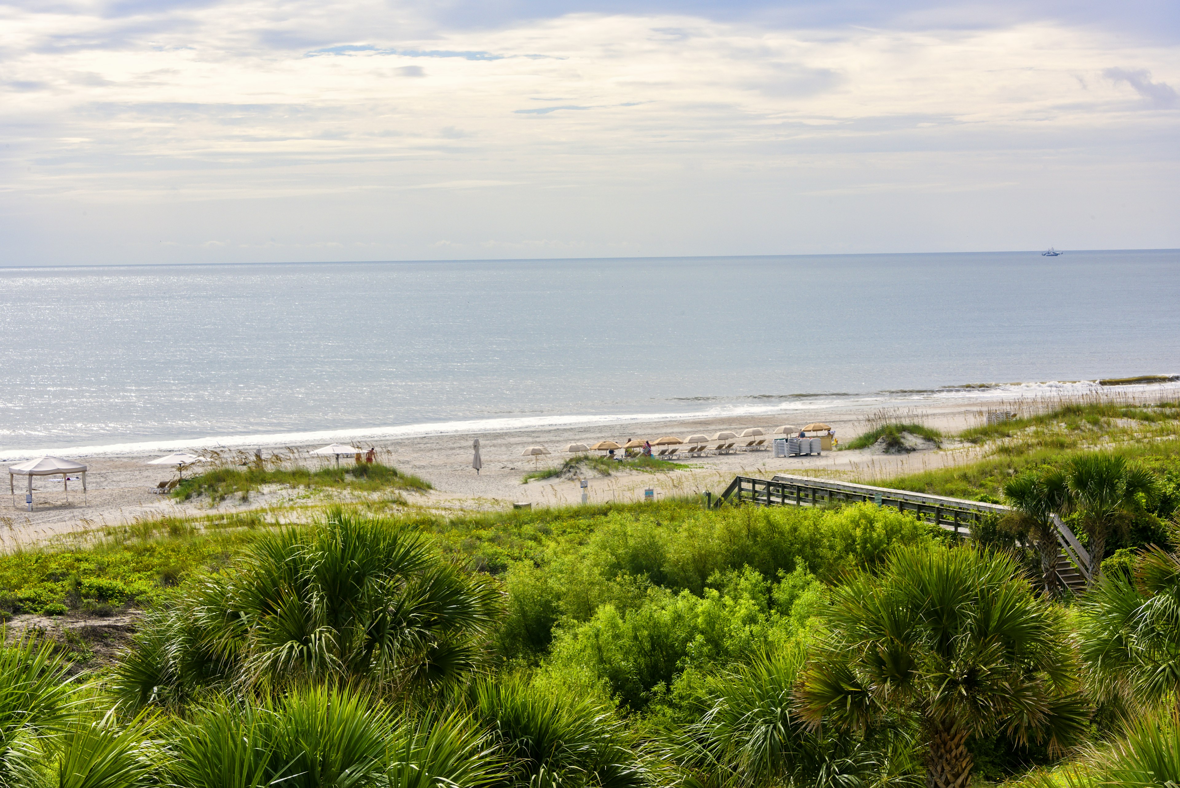 A vast sandy beach backed with dunes. A few loungers are lined up together