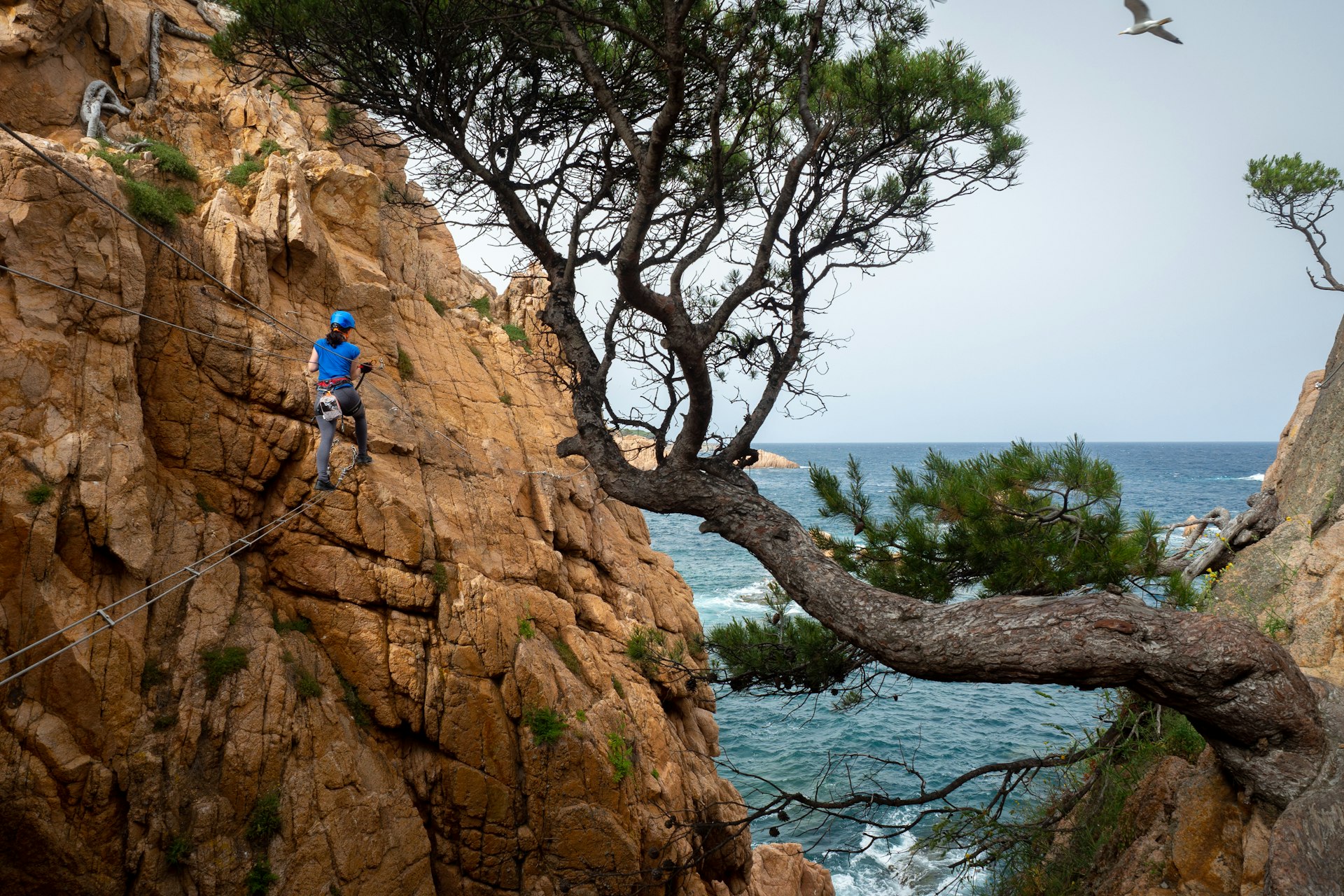 Woman climbing a via ferrata around a copper rock face overlooking the ocean in Costa Brava, Spain