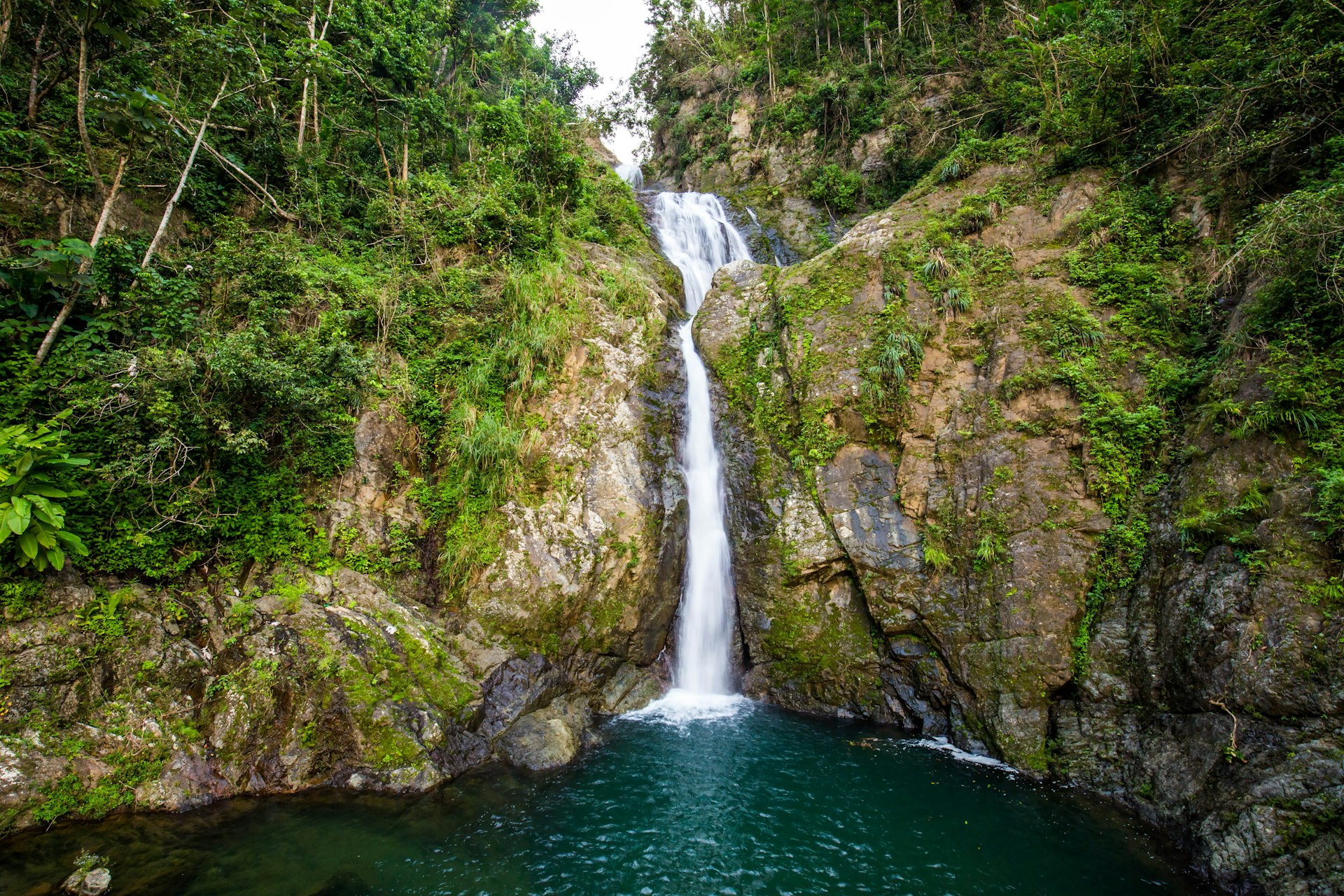 A waterfall pours from a lush forest in Puerto Rico. 