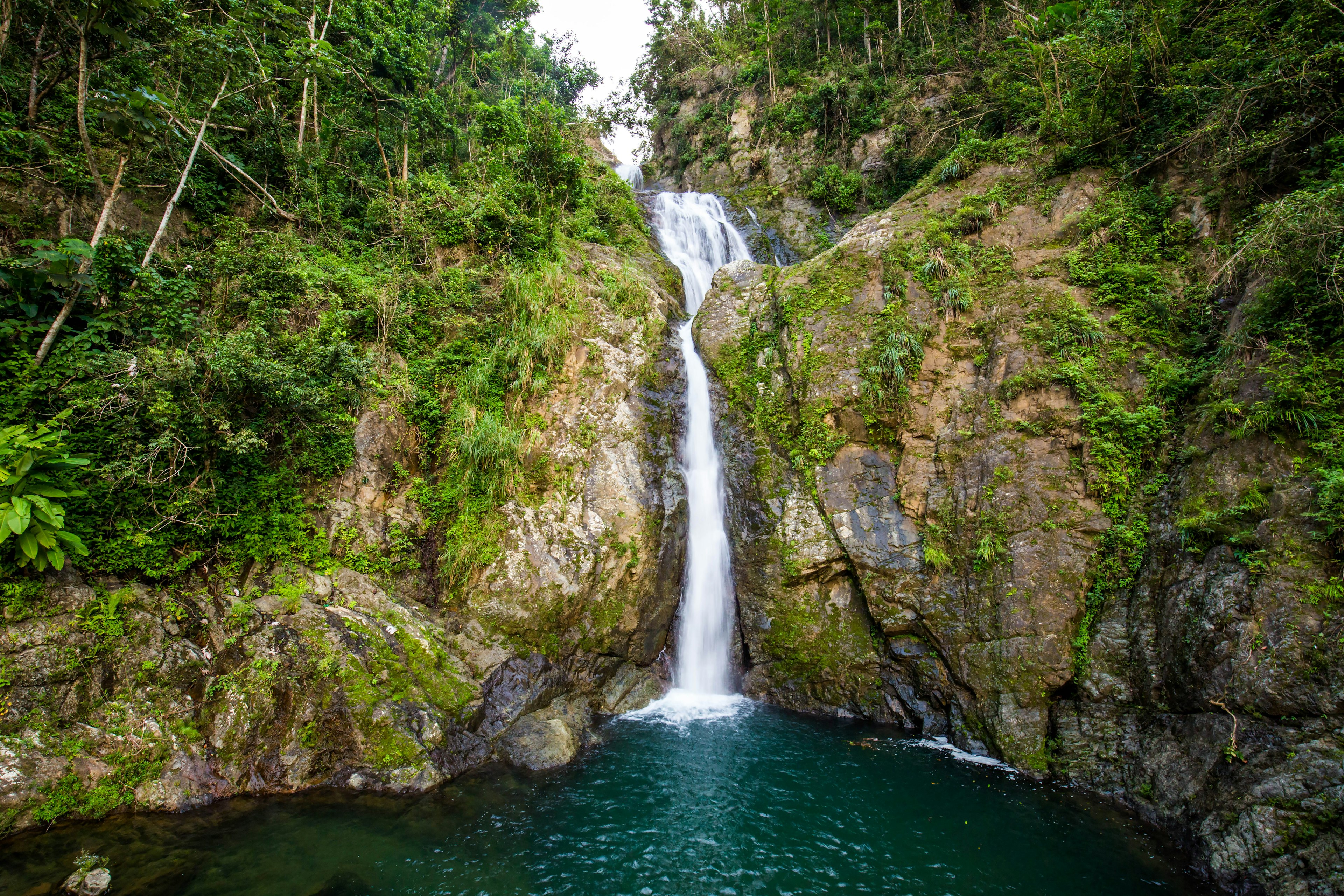 A waterfall pours from a lush forest in Puerto Rico.