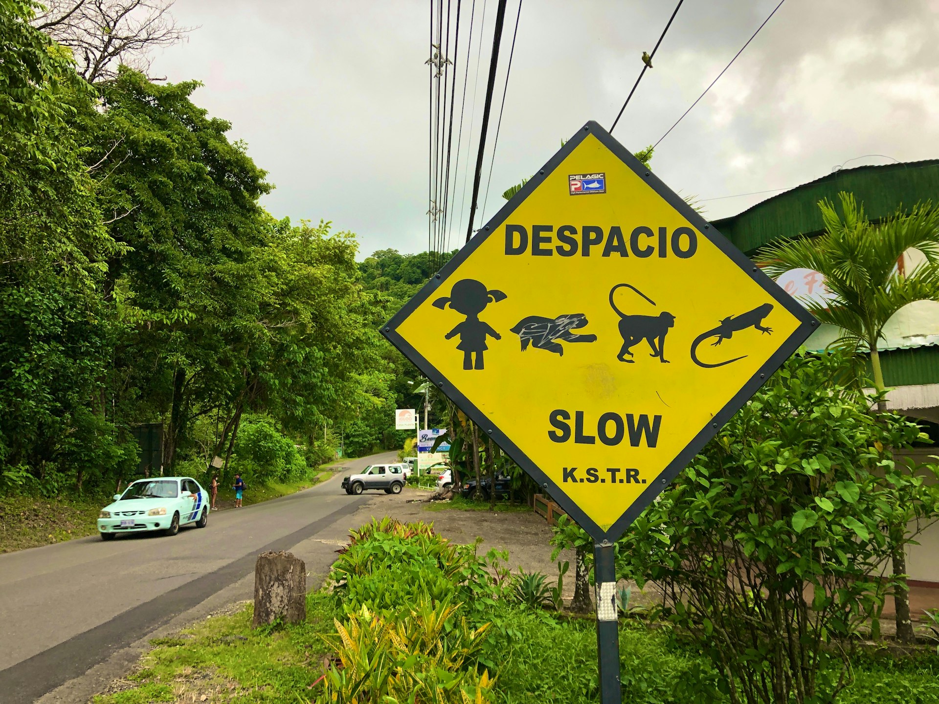 A tree-lined road with a diamond-shaped, yellow sign cautioning motorists to slow down for children and wildlife  