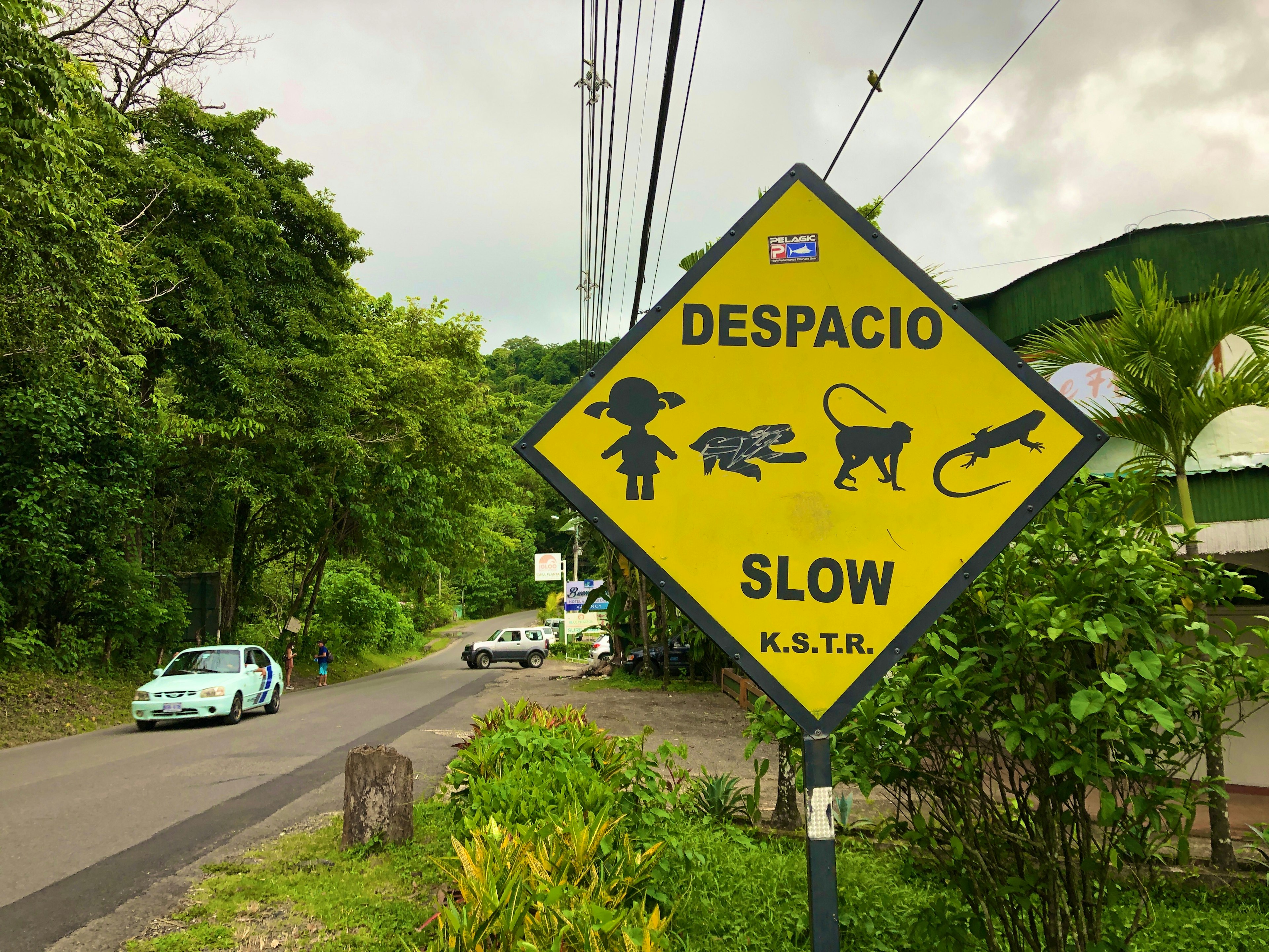 A tree-lined road with a diamond-shaped, yellow sign cautioning motorists to slow down for children and wildlife