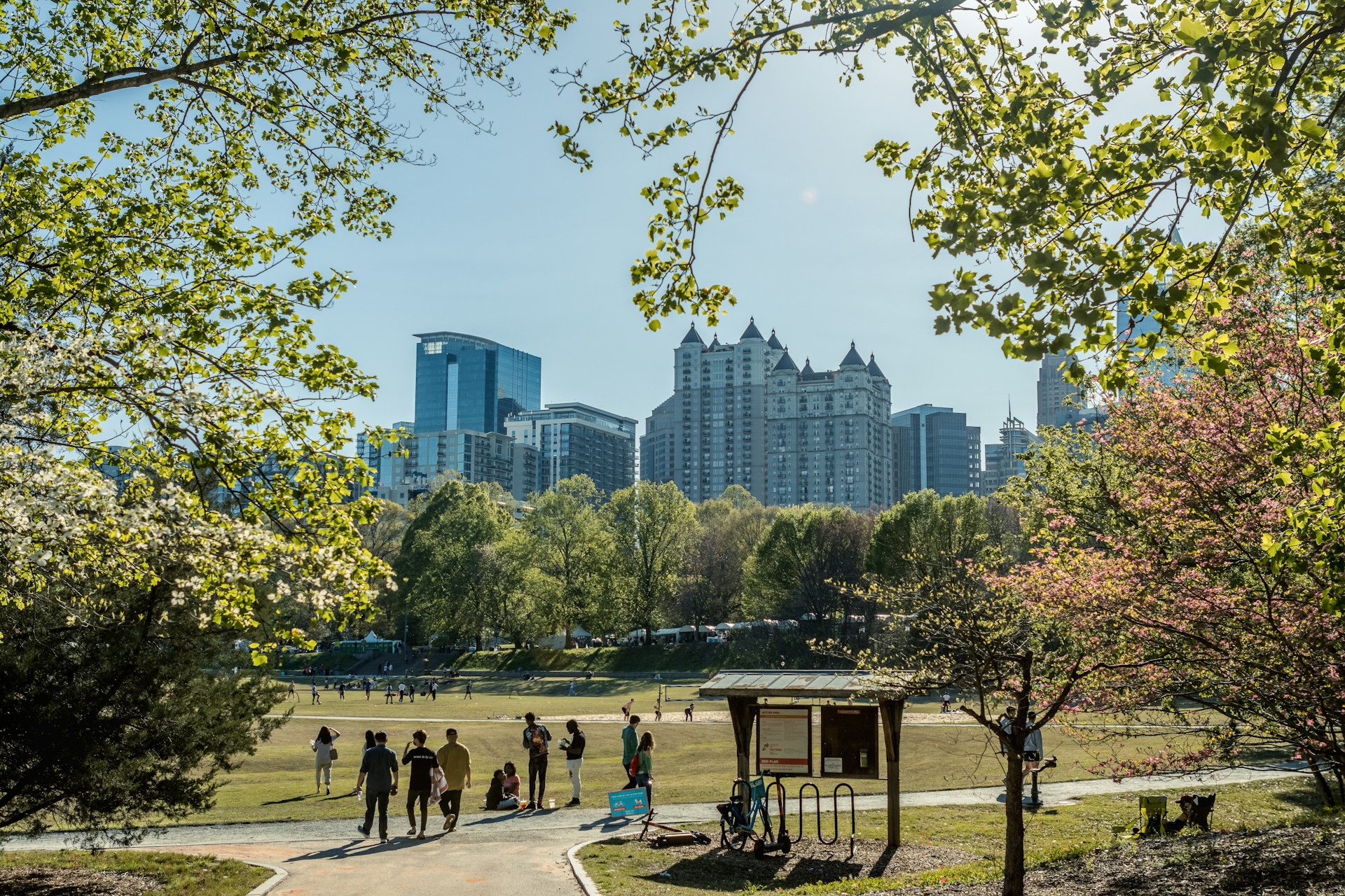 Many people are relaxing and walking in the huge green spaces of Pietmont Park on a sunny day, with a view of the Atlanta skyline beyond the trees