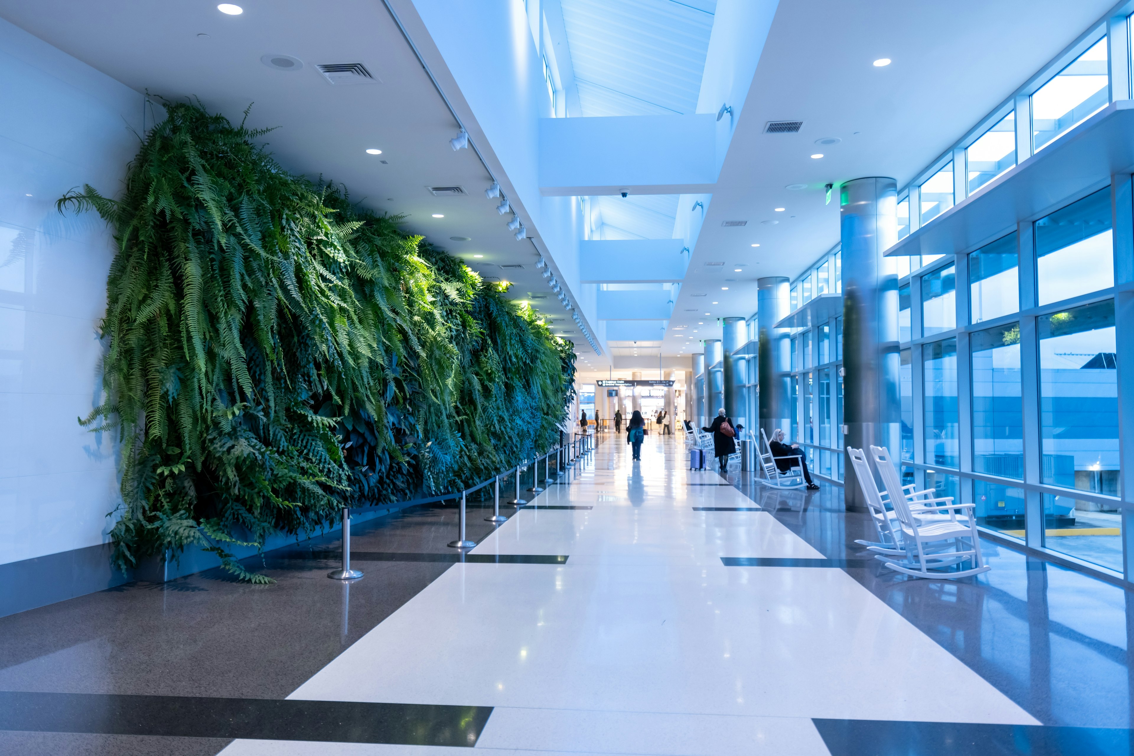 A wide airy airport corridor with windows to one side and a wall of plants on the other