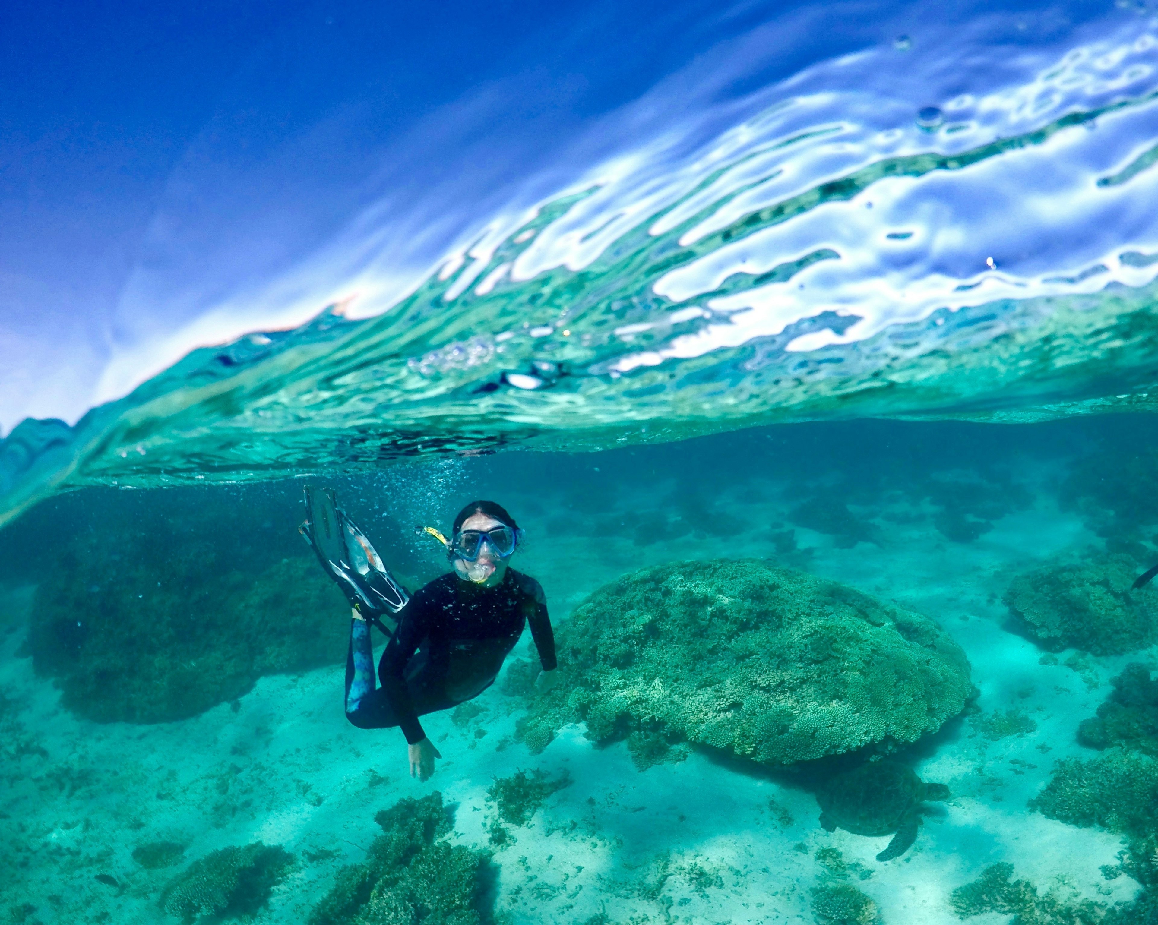 Swimmer at Ningaloo Reef