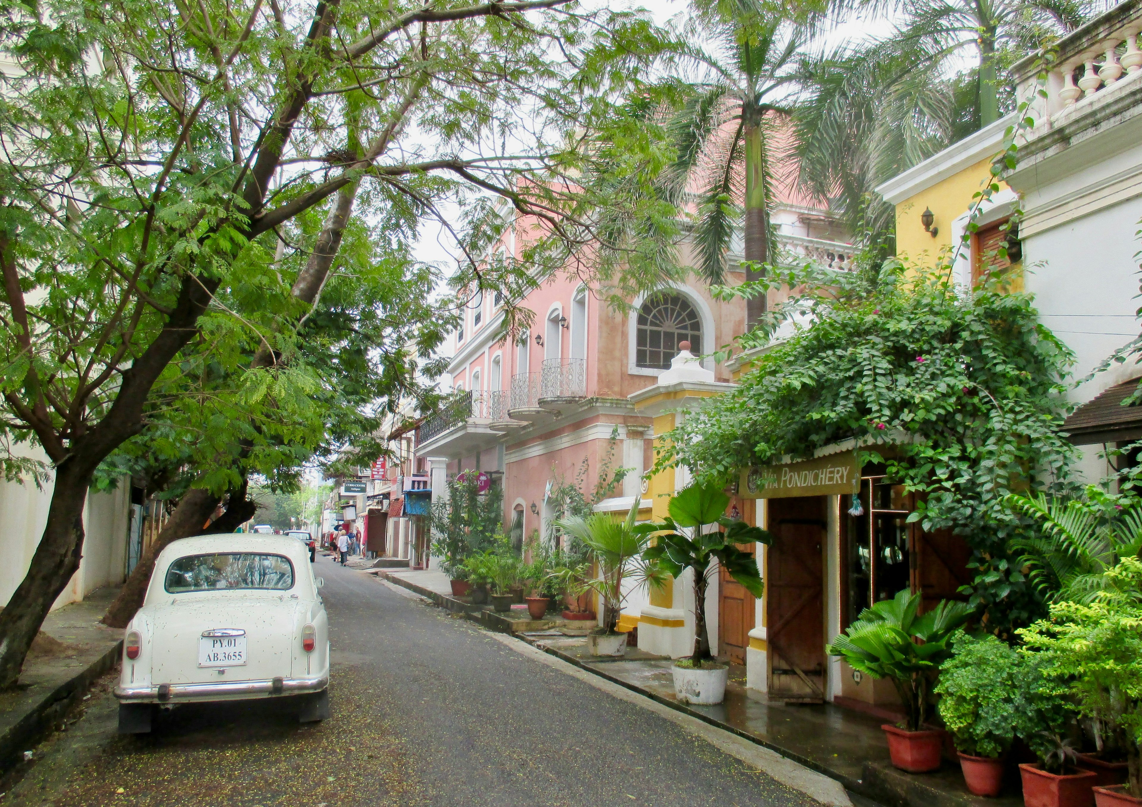 Heritage buildings in the White Town of Puducherry, India