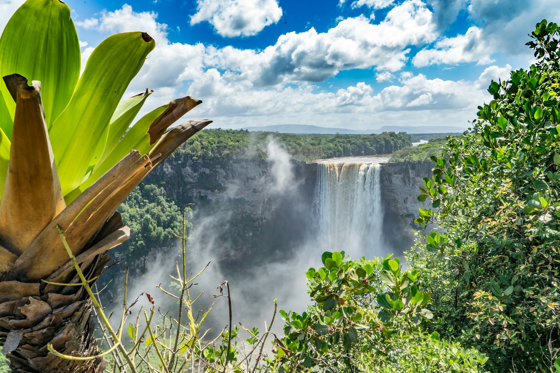 Kaieteur Falls surrounded by Guyanan rainforest