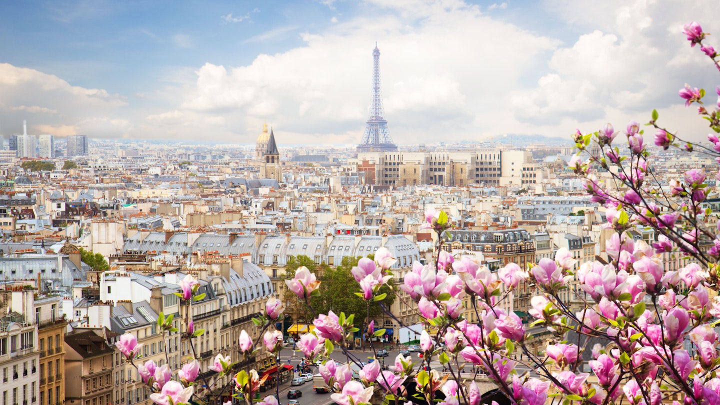 A view of Paris' skyline with the Eiffel Tower prominent in the distance, while a branch of pink tree blossoms dominates the foreground.