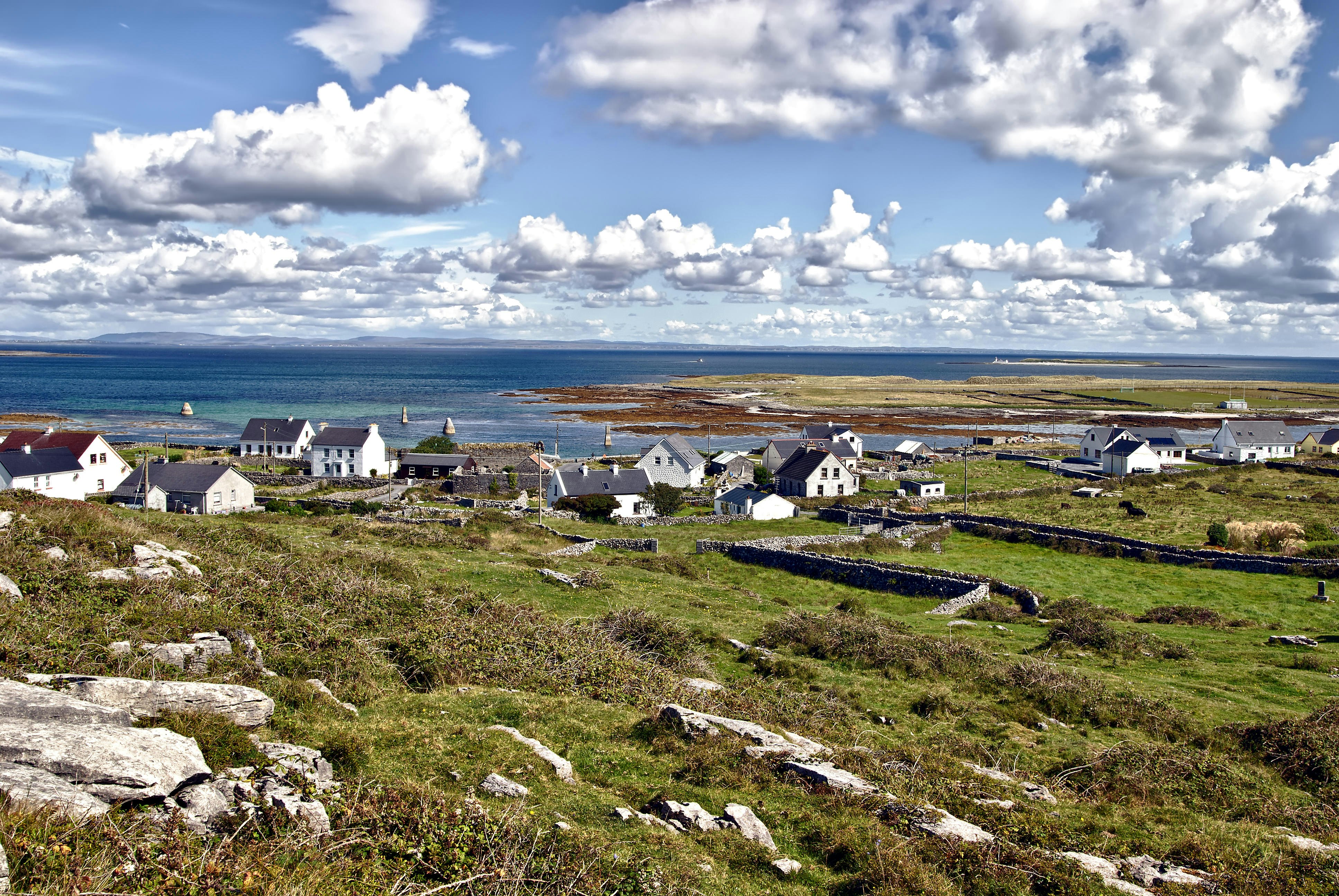 A cluster of white coastal cottages right by a windswept beach