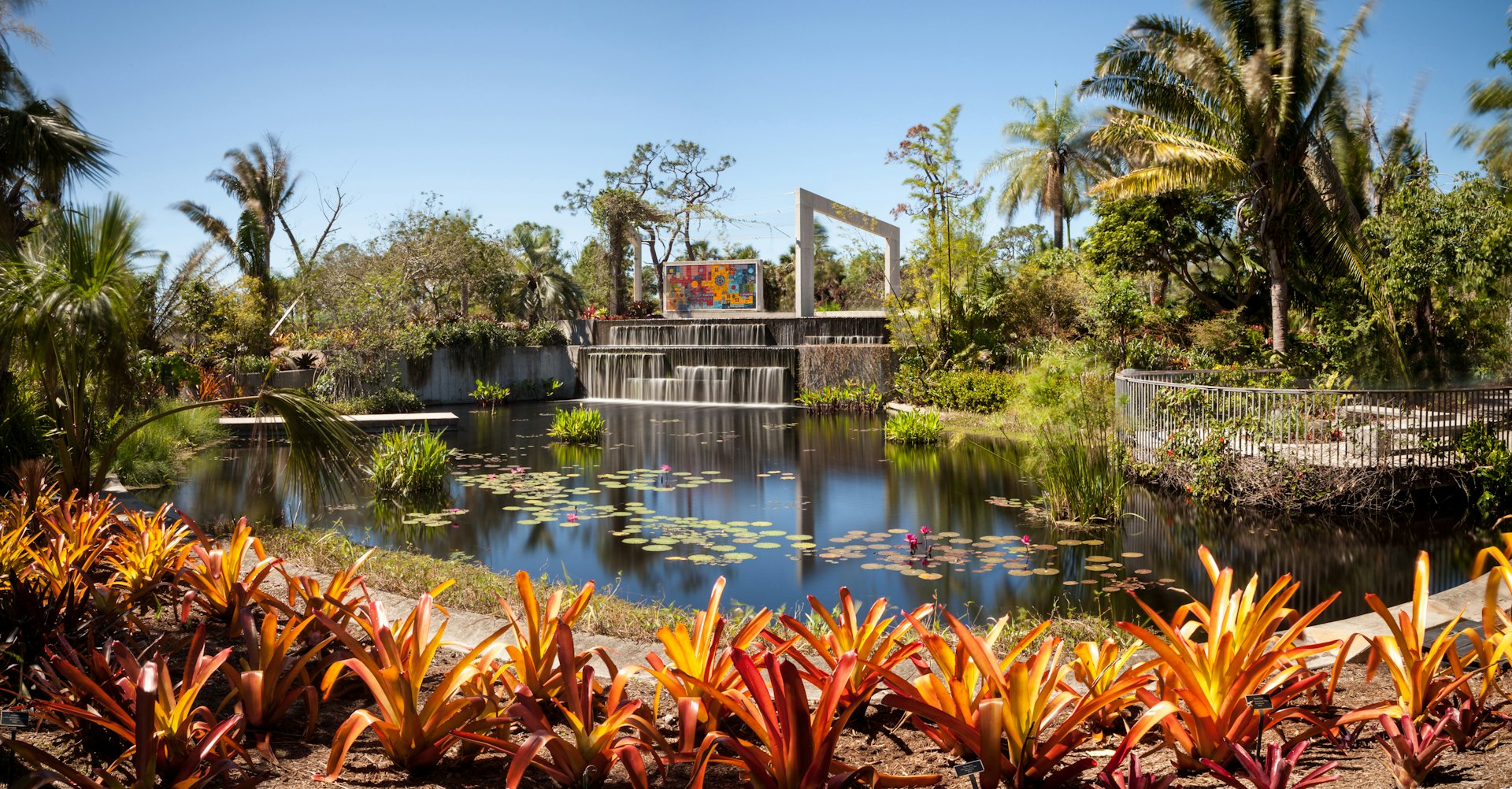 A pond filled with water lilies reflects the many tropical trees and plants that surround it at the Naples Botanical Gardens in Naples, Florida.