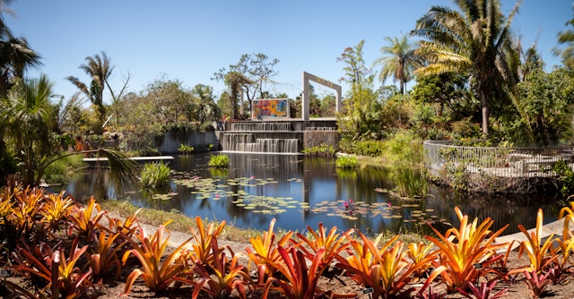 A pond filled with water lilies reflects the many tropical trees and plants that surround it at the Naples Botanical Gardens in Naples, Florida.
