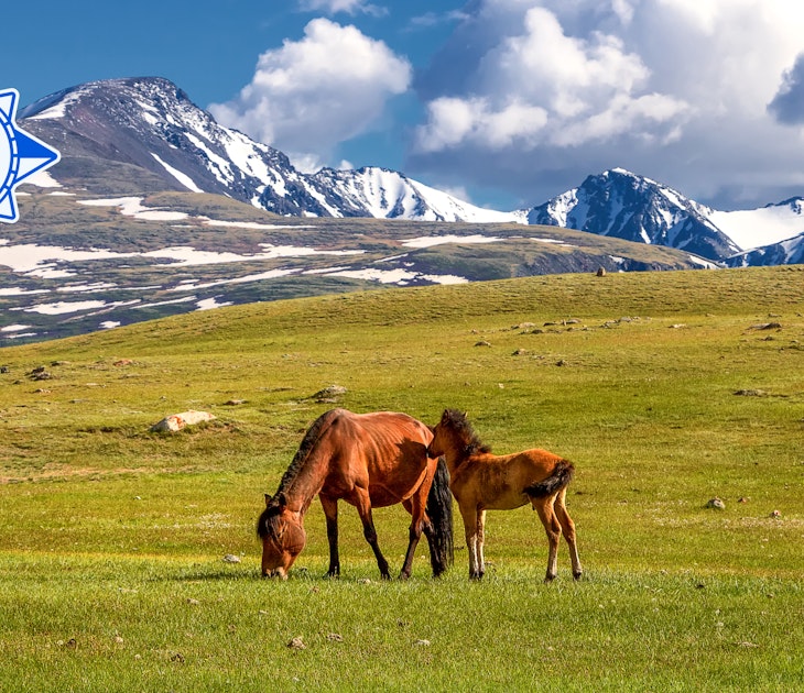 September 2024 Where to Go When Hero - Mongolia