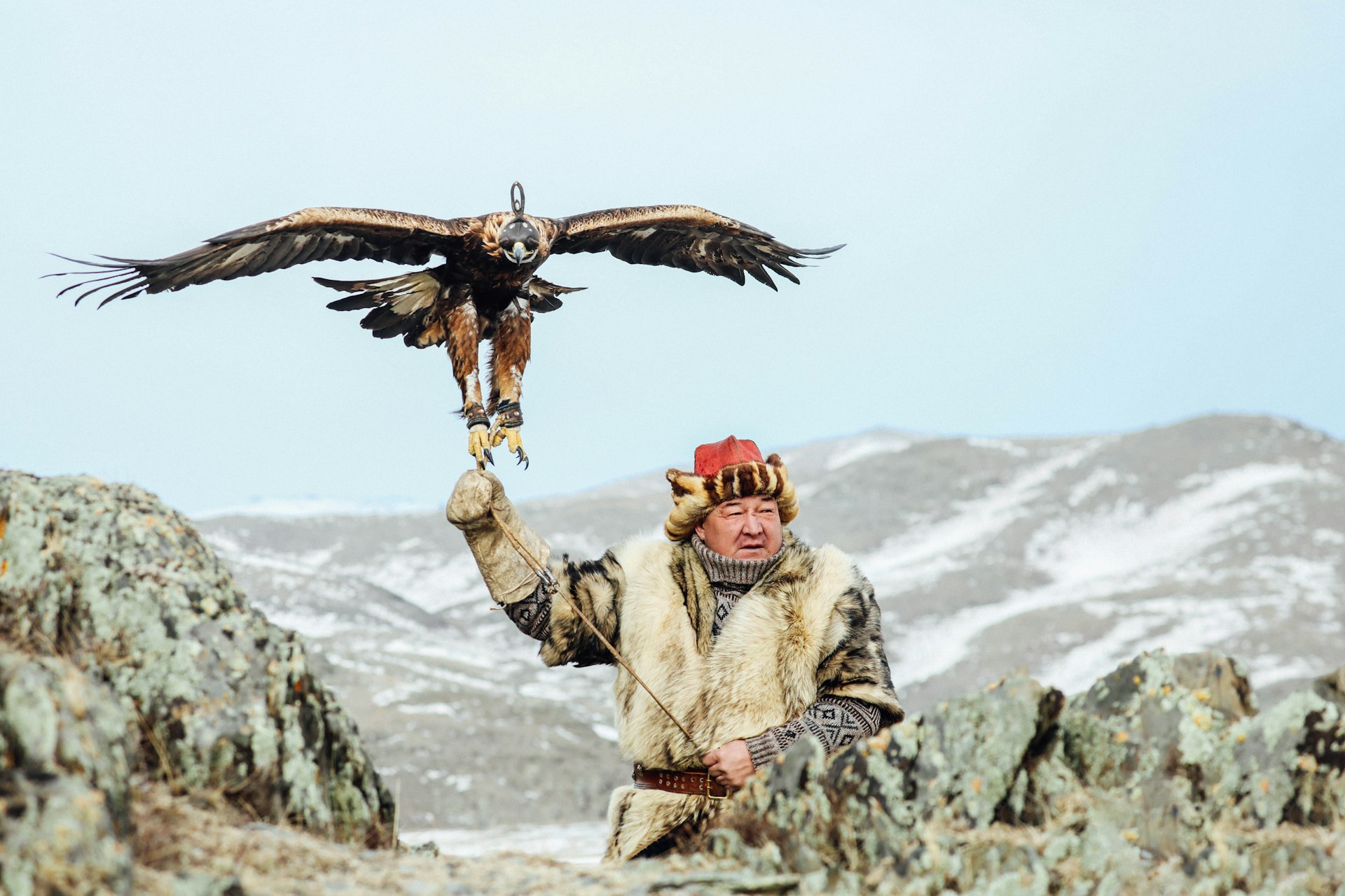 A man holds a large hawk with its wings spread aloft