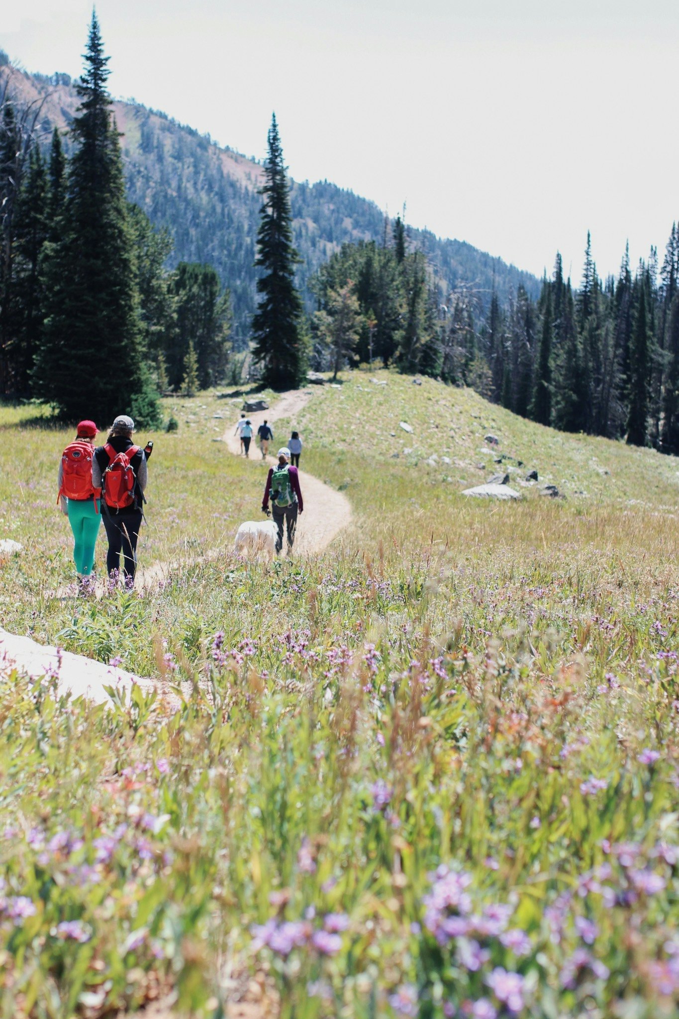 Hiking on Beehive Basin Trail near Big Sky and Bozeman, Montana