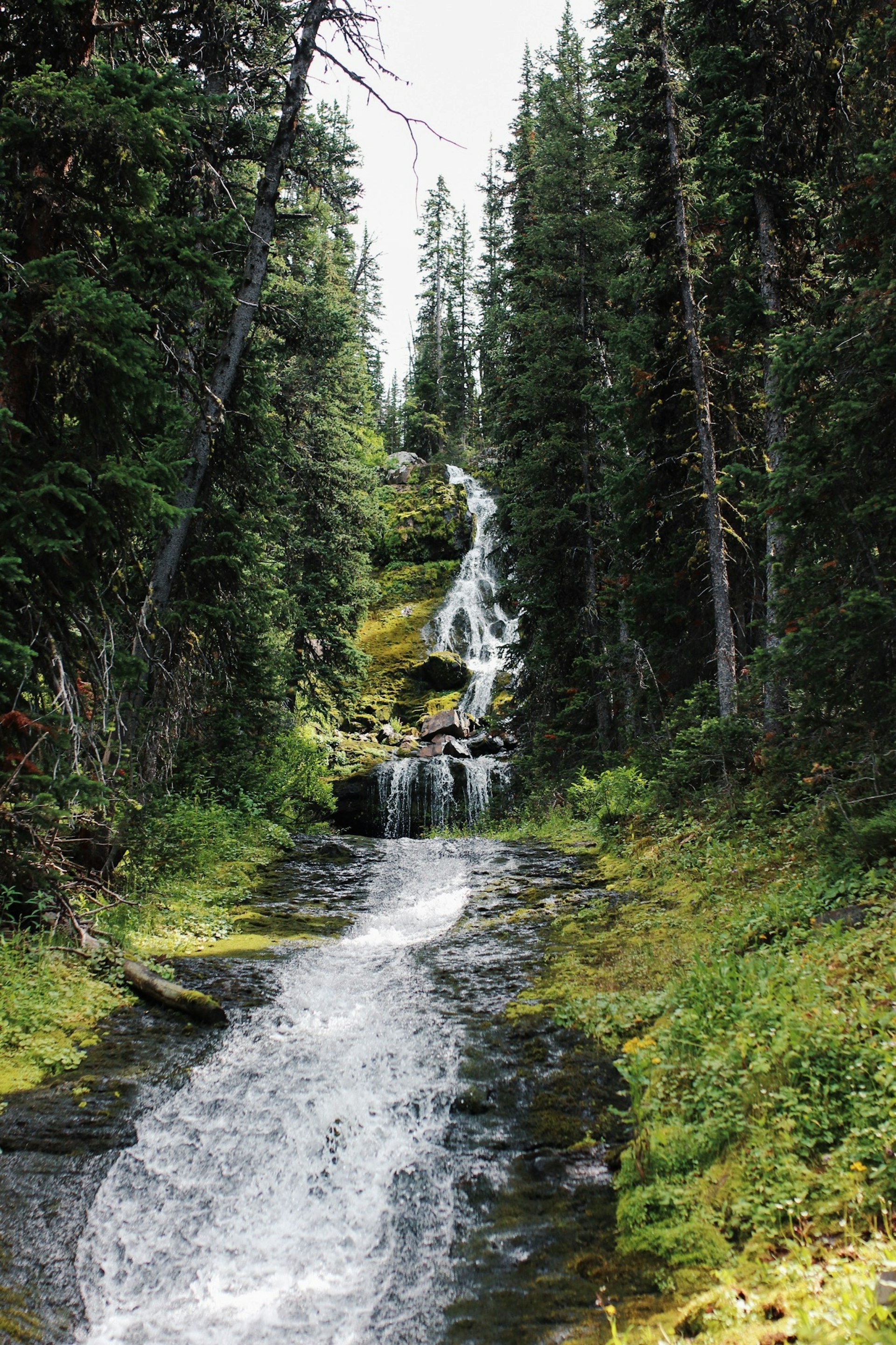 Waterfall on Hyalite Trail near Bozeman, Montana 