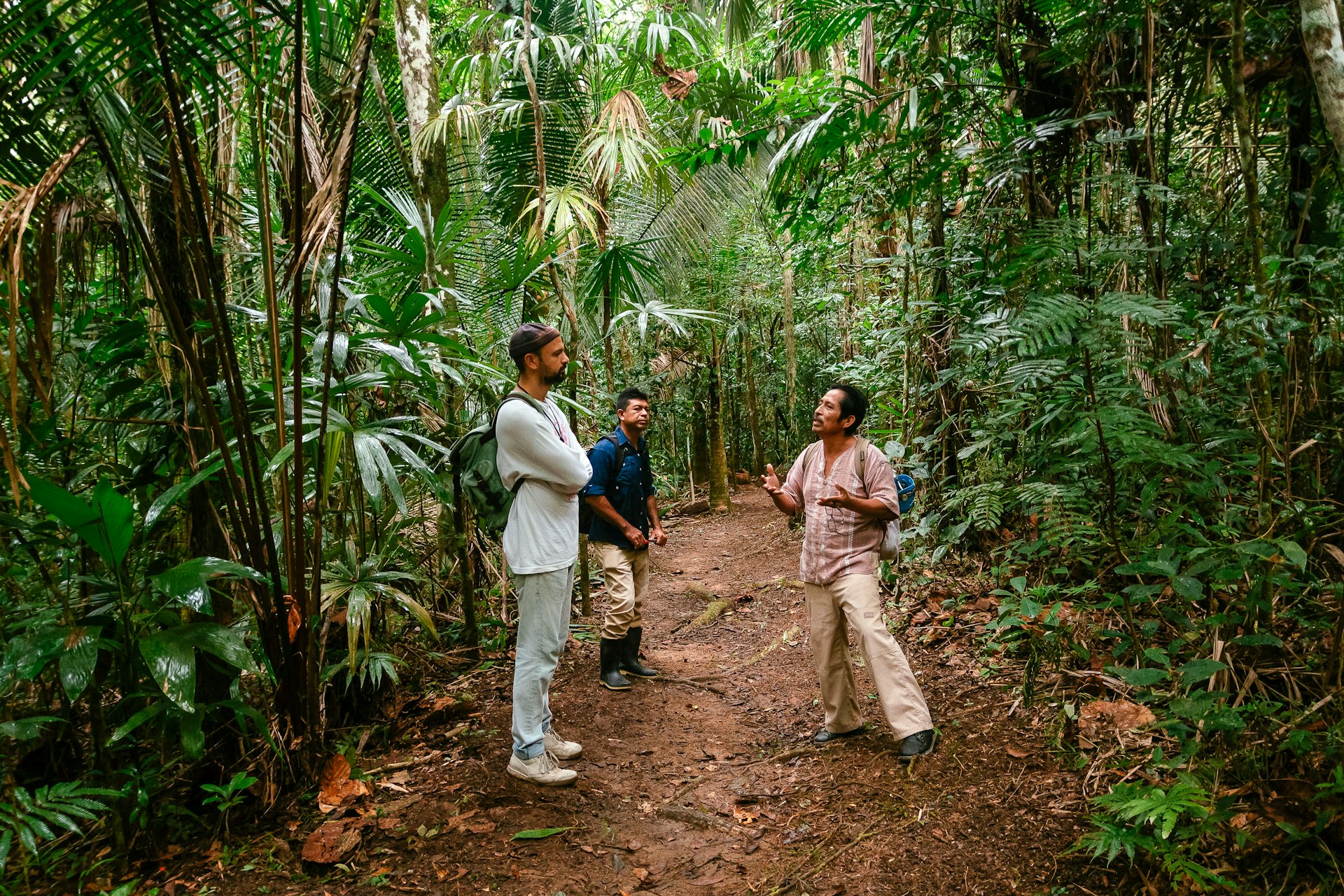 Guided tour of Elijio Panti National Park with a practicing Mayan healer who is knowledgeable about the native flora