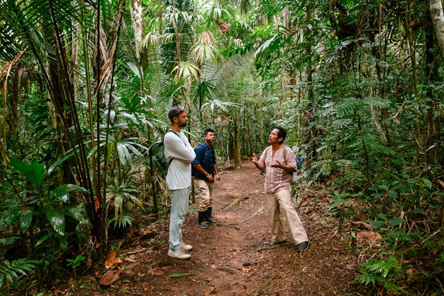 Guided tour of Elijio Panti National Park with a practicing Mayan healer who’s well-versed in the native flora