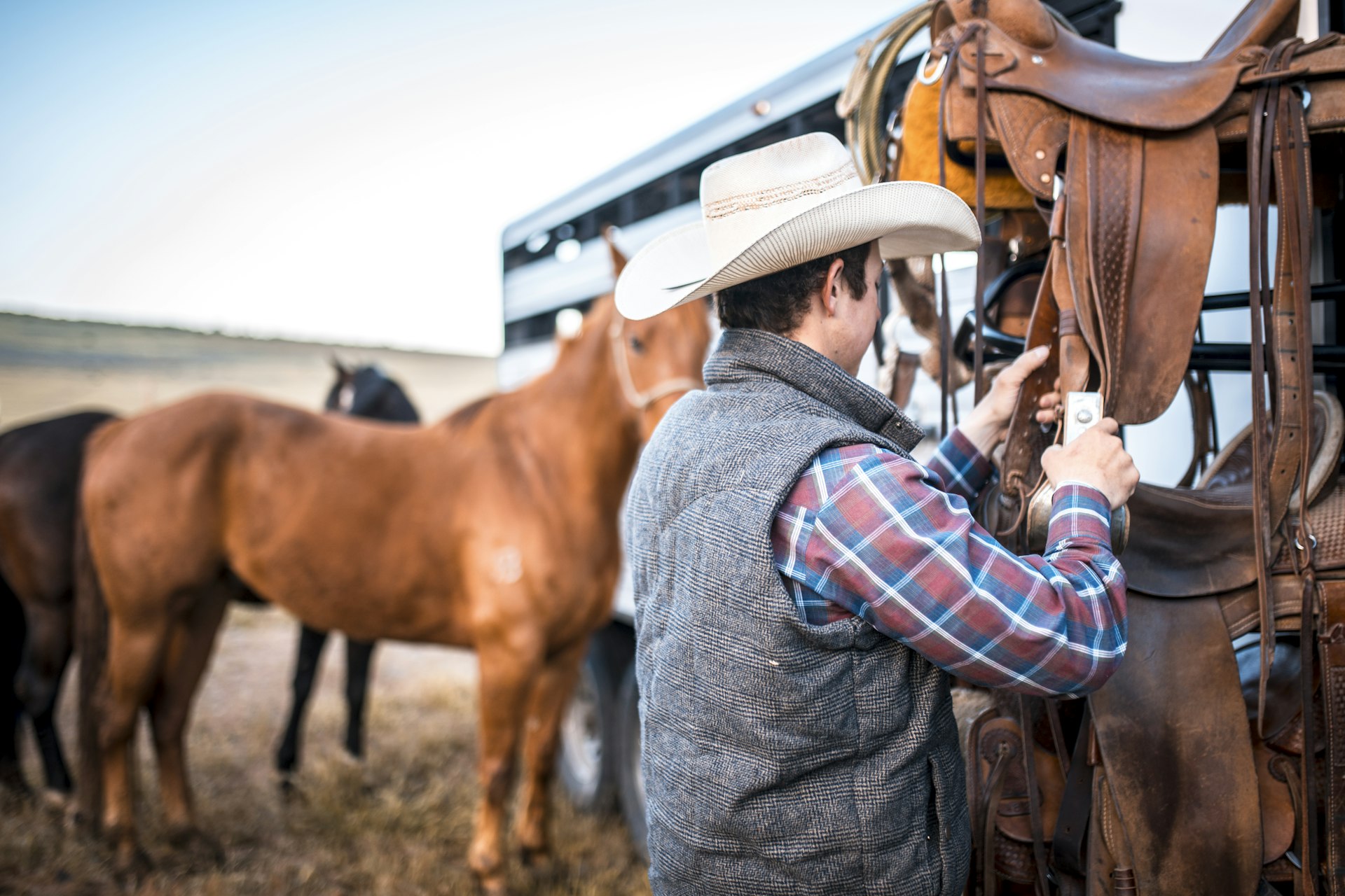 Young horseman preparing to saddle horses tied to a trailer.