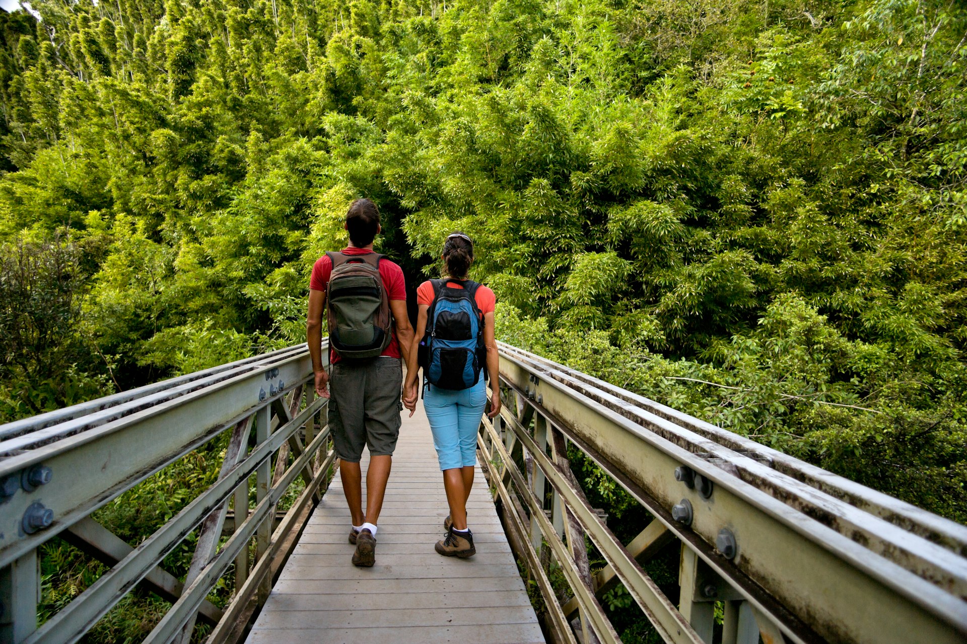 A couple wearing hiking clothes are holding hands and walking over a wooden bridge in a bamboo forest on Maui 
