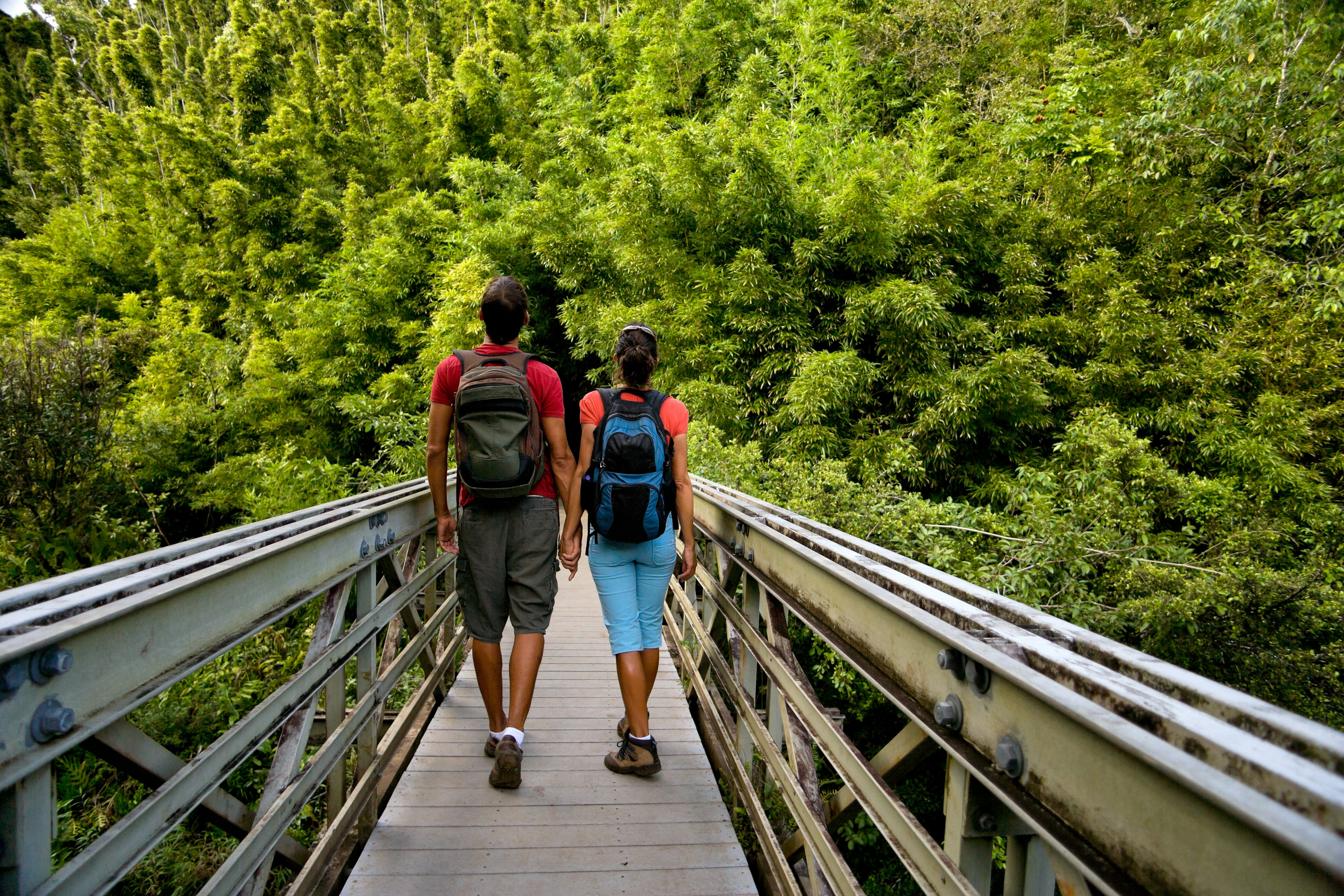 A couple wearing hiking clothes are holding hands and walking over a wooden bridge in a bamboo forest on Maui