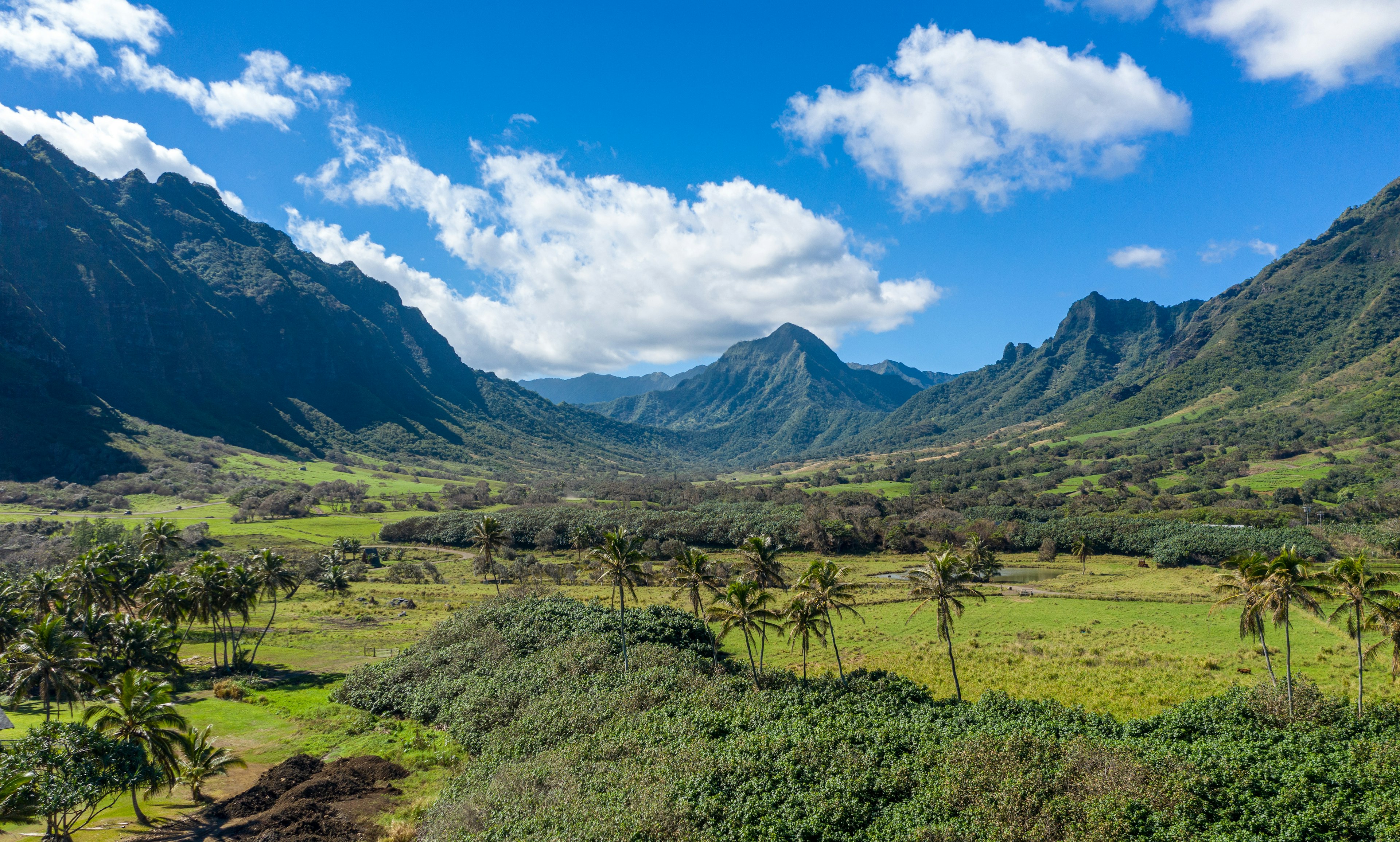 A lush landscape of green foliage and trees with huge volcanic peaks