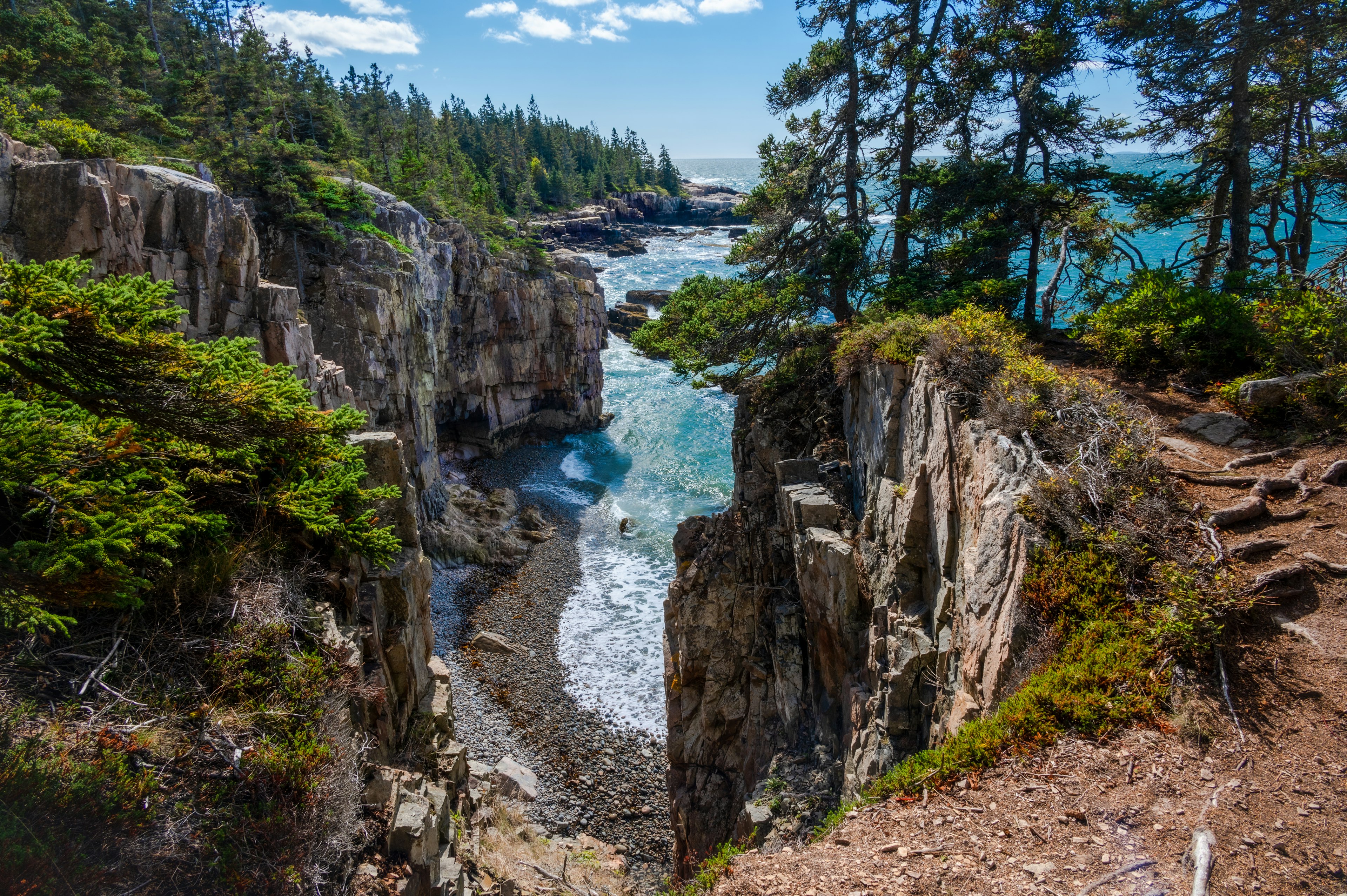 A rocky forested inlet where the sea is pounding the cliffs