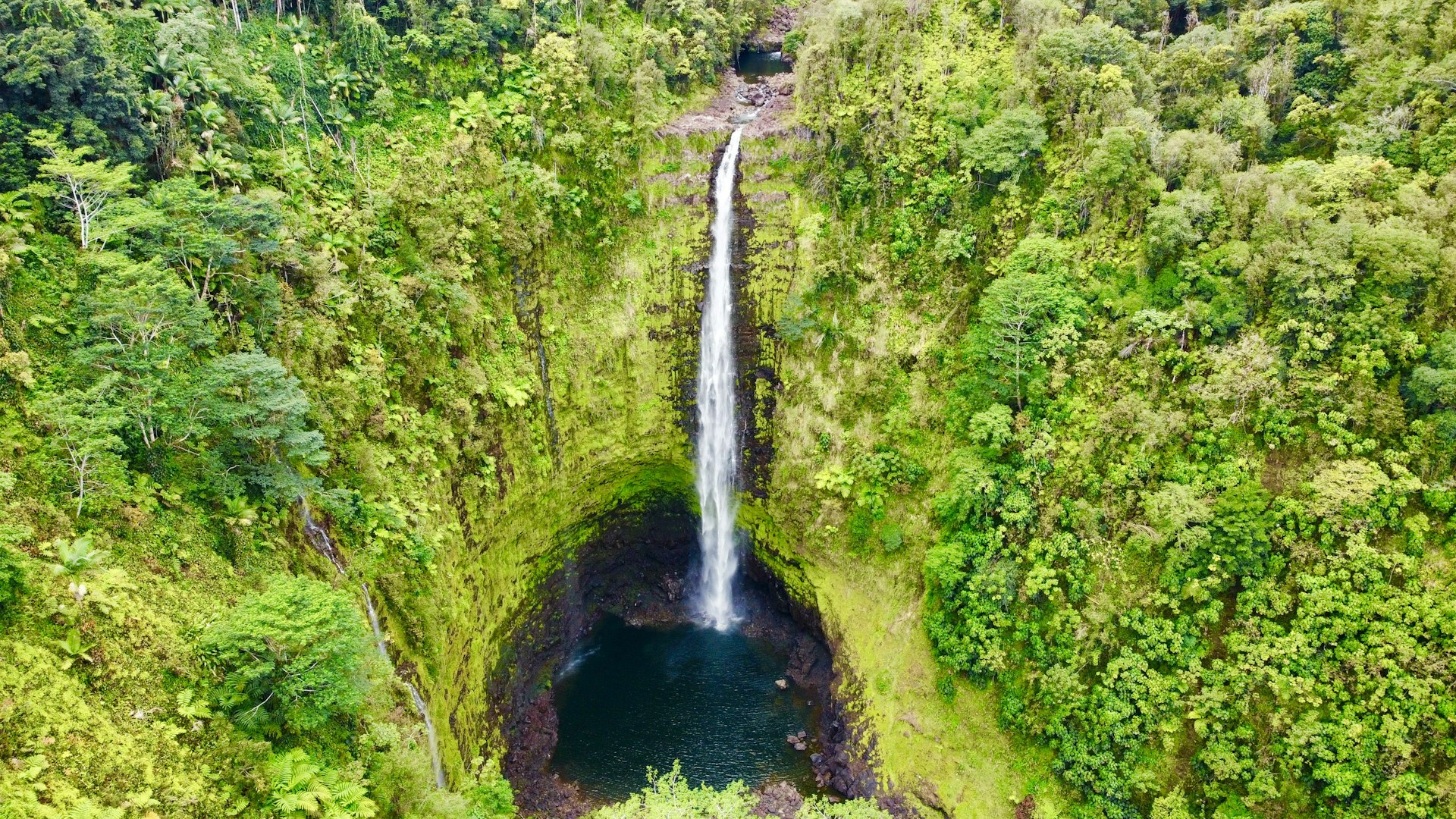 A waterfall cascades down into a pool in a vast jungle