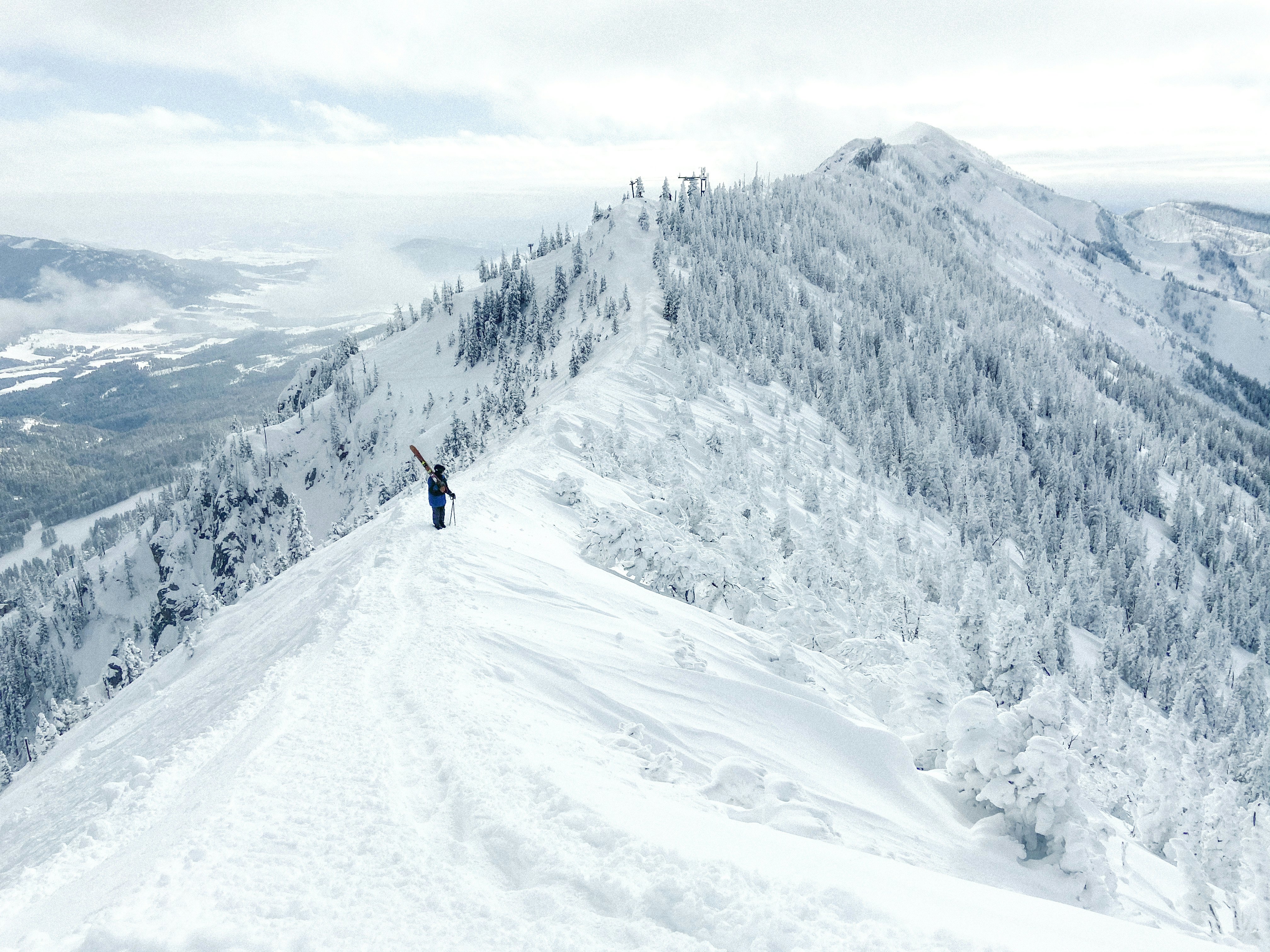 A person carrying skis and poles hikes across a high, narrow, snow-covered ridge with snow-covered evergreens on either side on a partly sunny day.