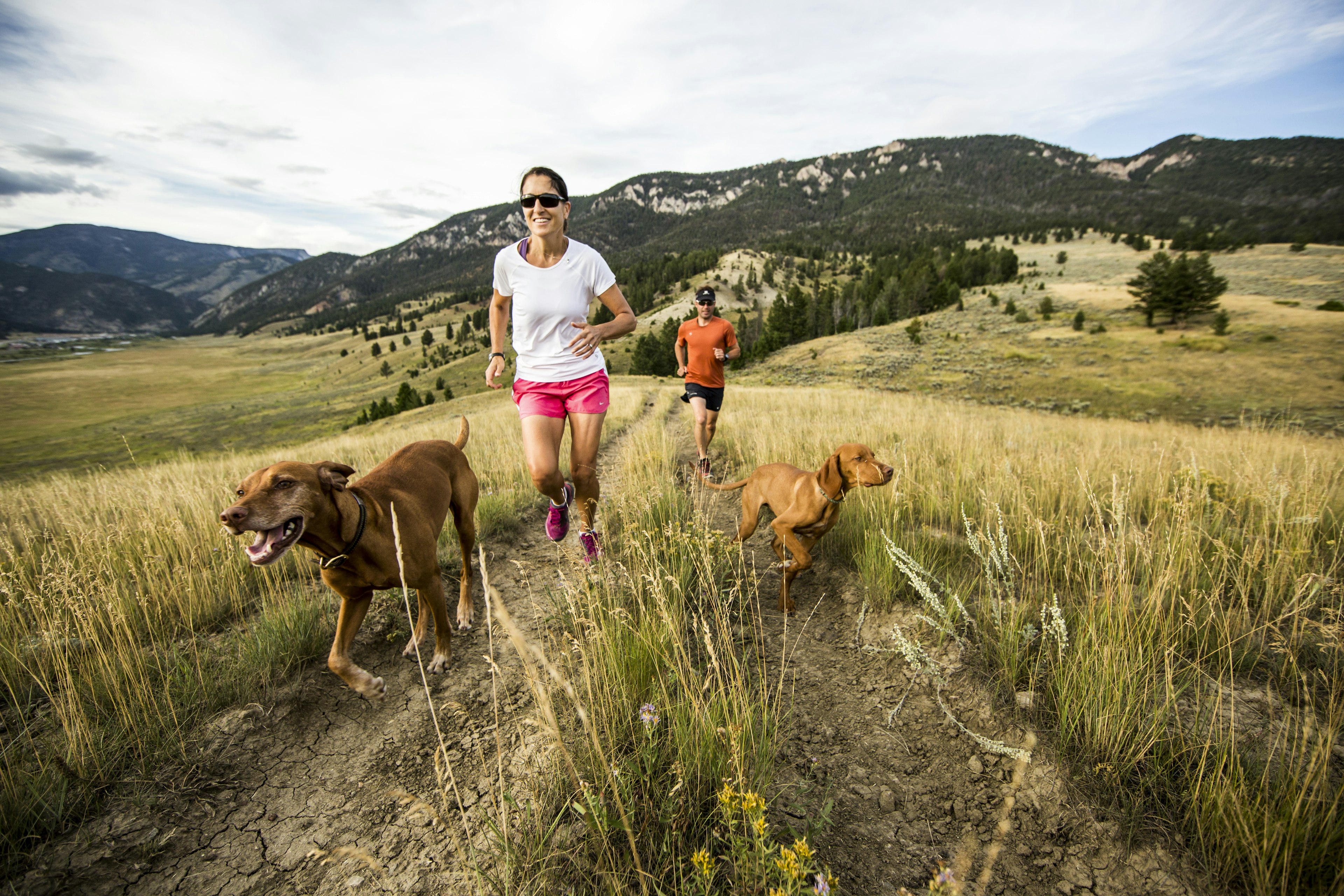 Two people running along a trail with two dogs