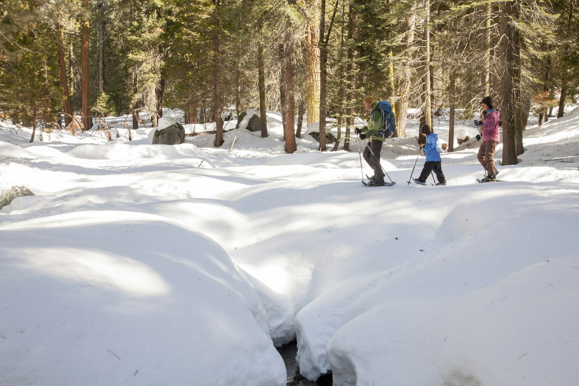 Father, mother, and daughter snowshoeing through Giant Sequoia Trees in Kings Canyon National park, C