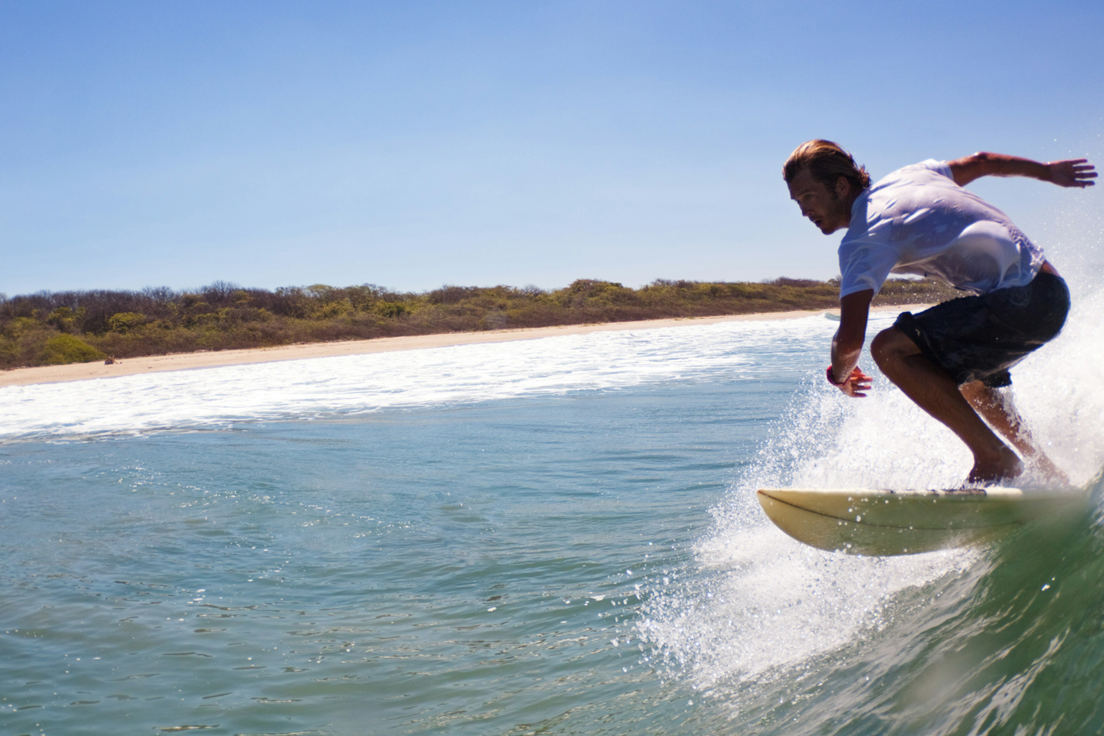 A surfer on a wave heading towards a sandy palm-lined beach