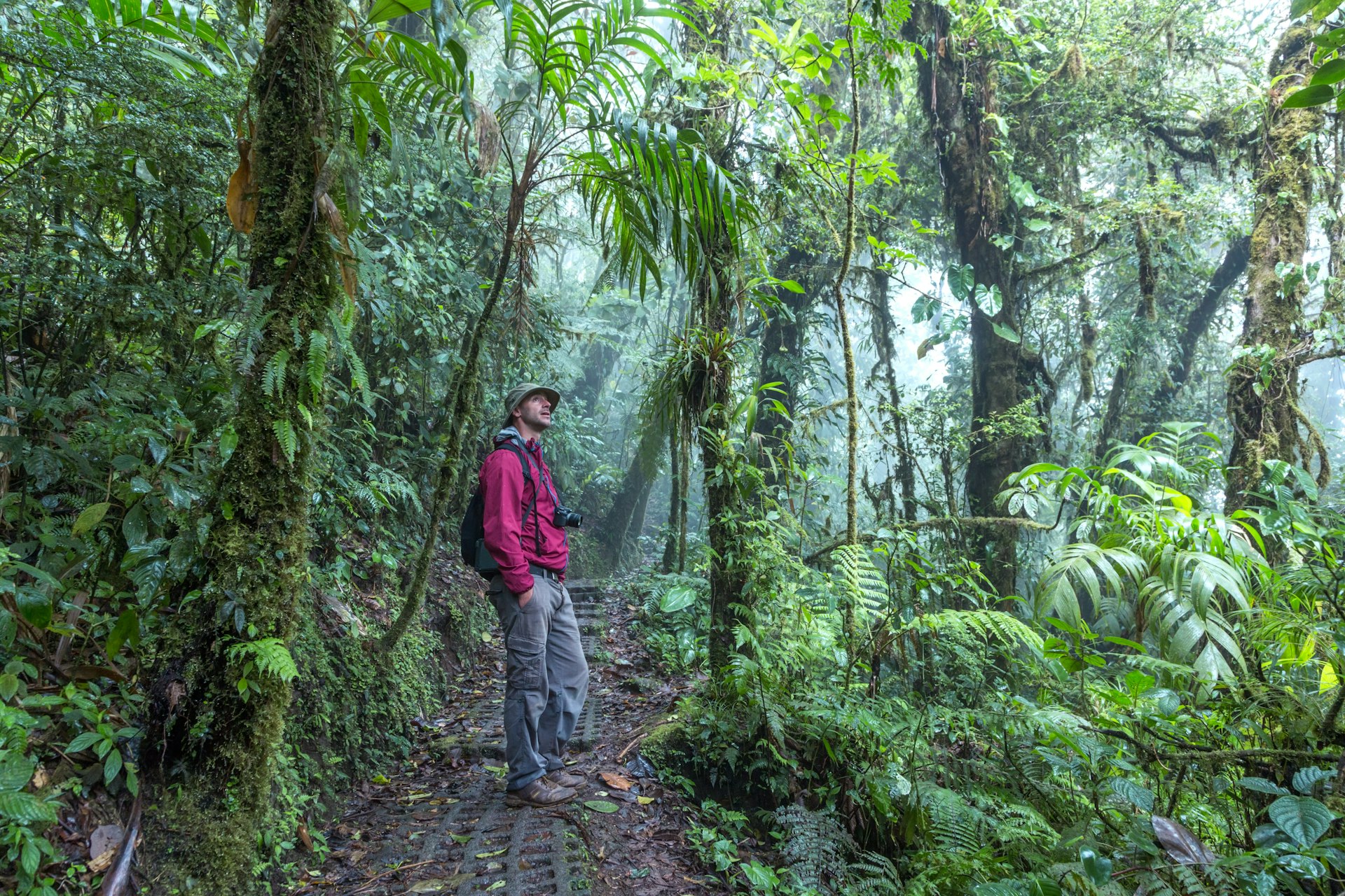 Man walking on a trail in misty forest at Monteverde Cloud forest, Puntarenas, Costa Rica