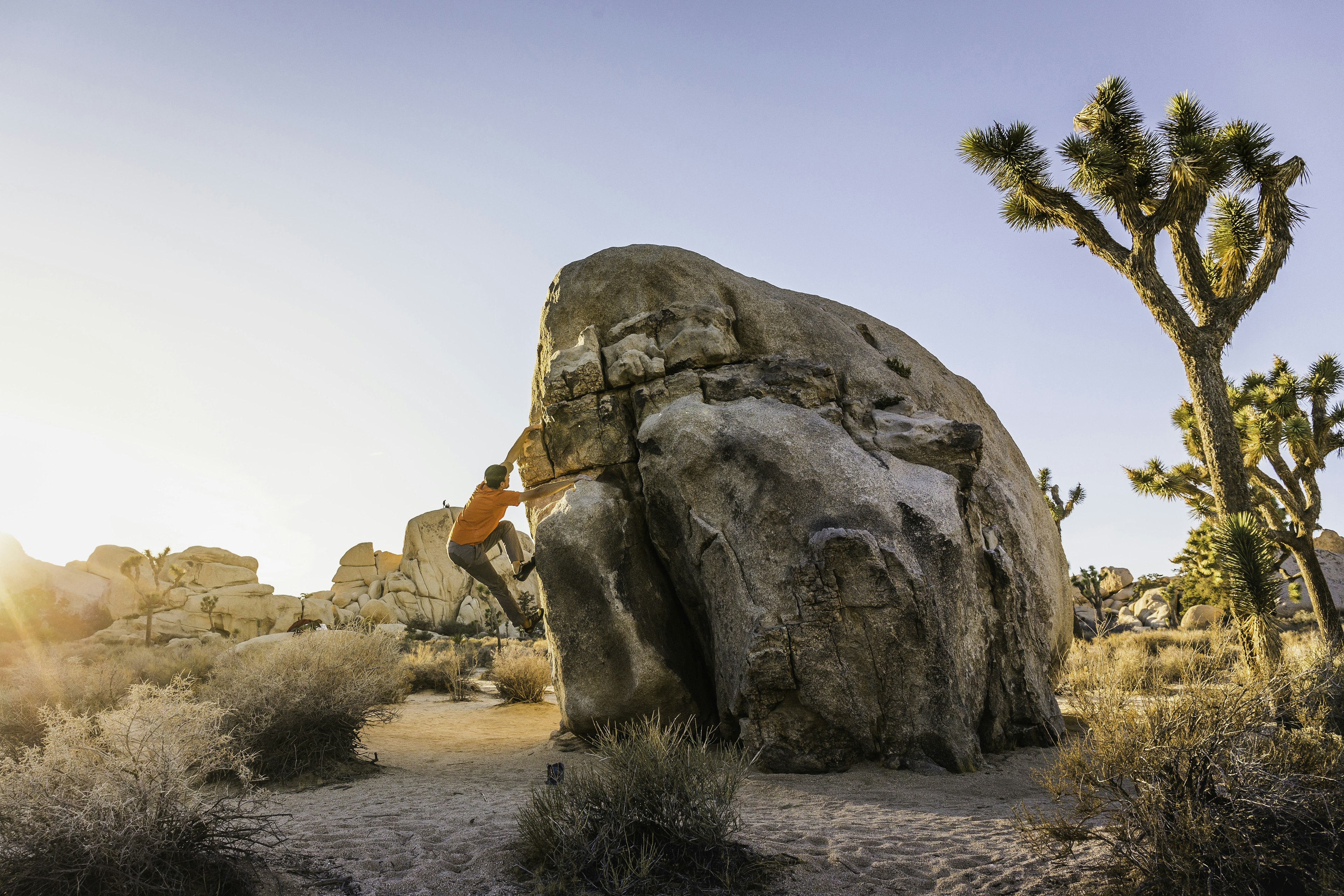 Male boulderer moving up a boulder at dusk, Joshua Tree National Park, California, USA