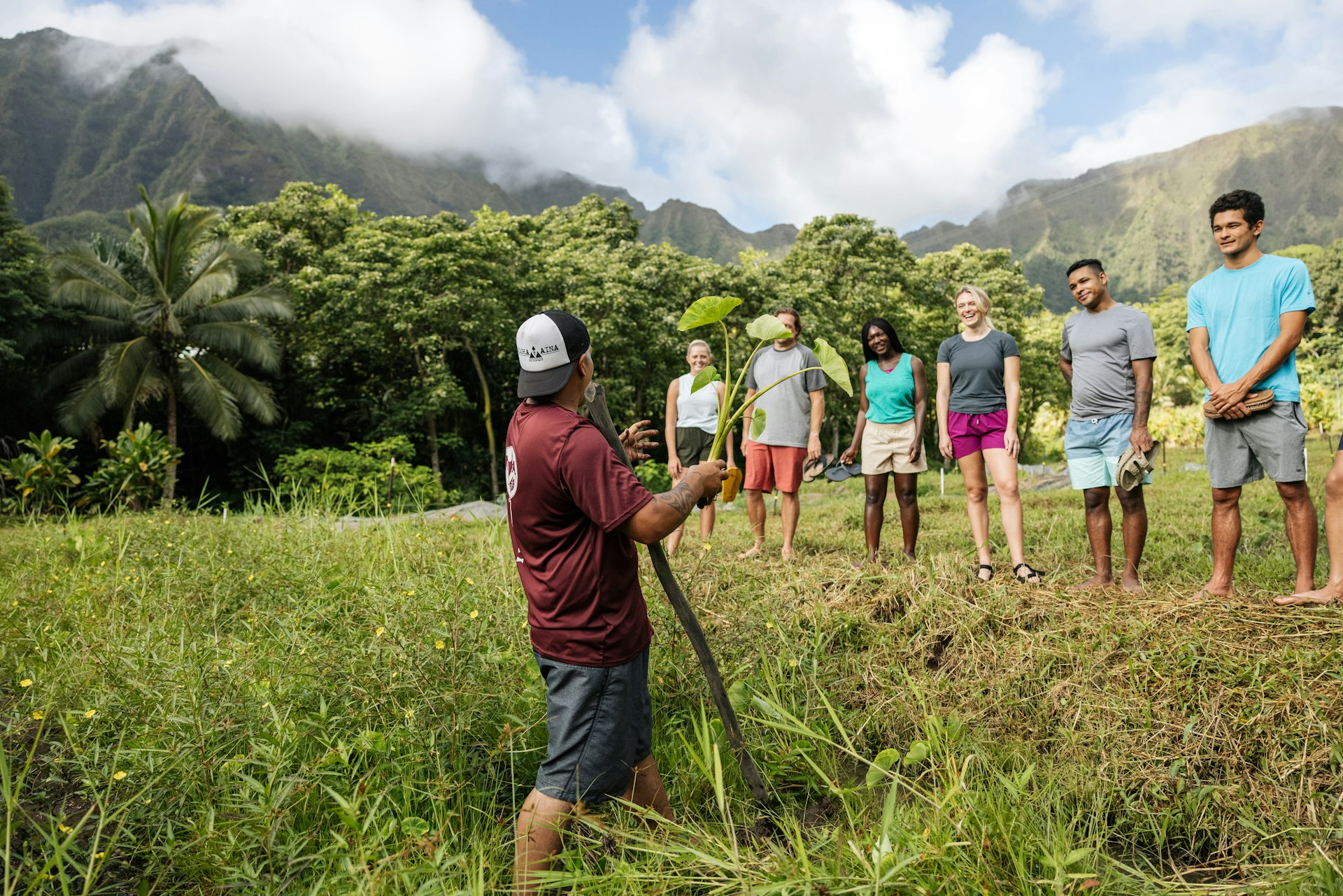 Volunteers stand in a field on a hot sunny day while a guide talks to them about plants