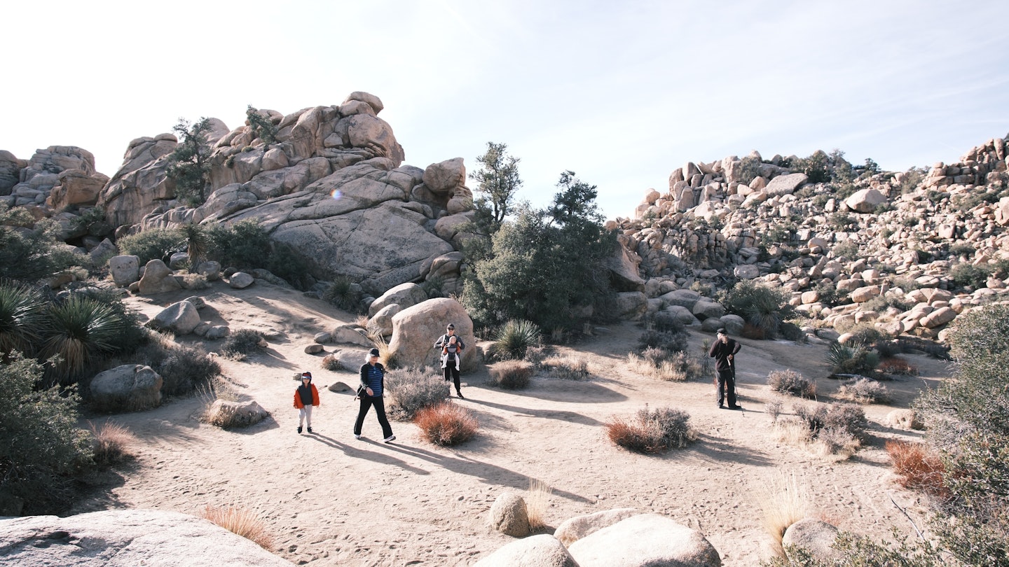 Joshua Tree, multigenerational travel
