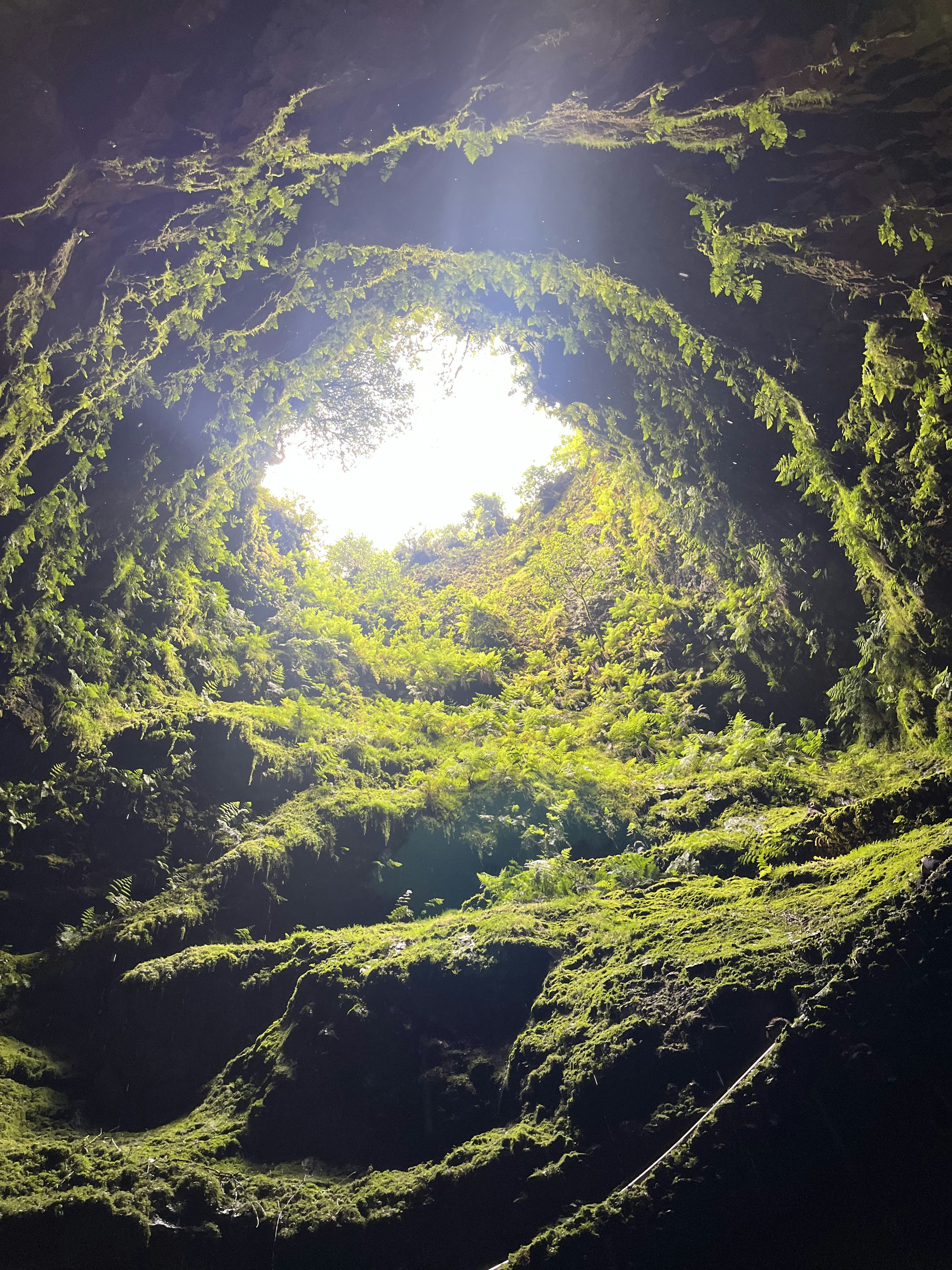 Looking up at the dormant volcano from the ground