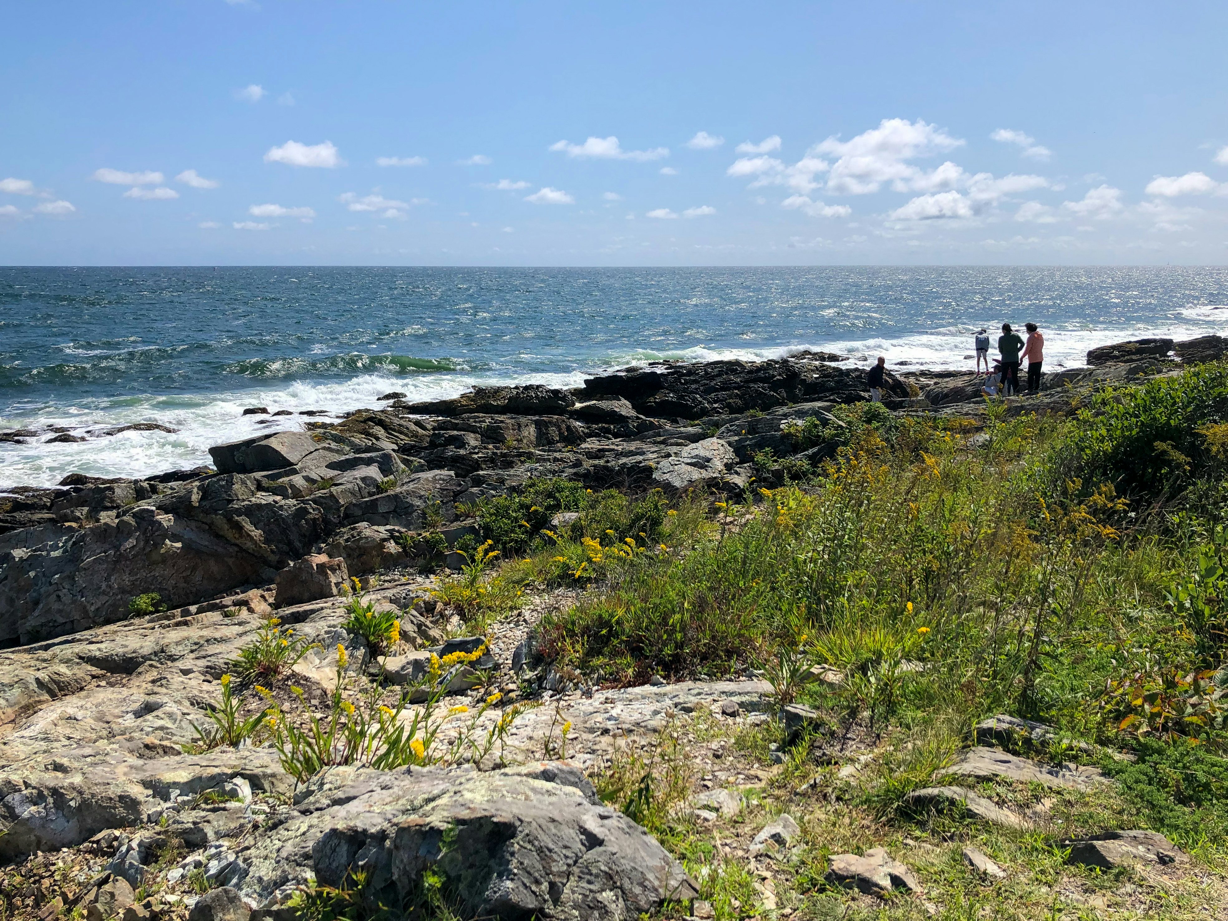 View of people walking on a rocky beach, with grass and flowers in the foreground