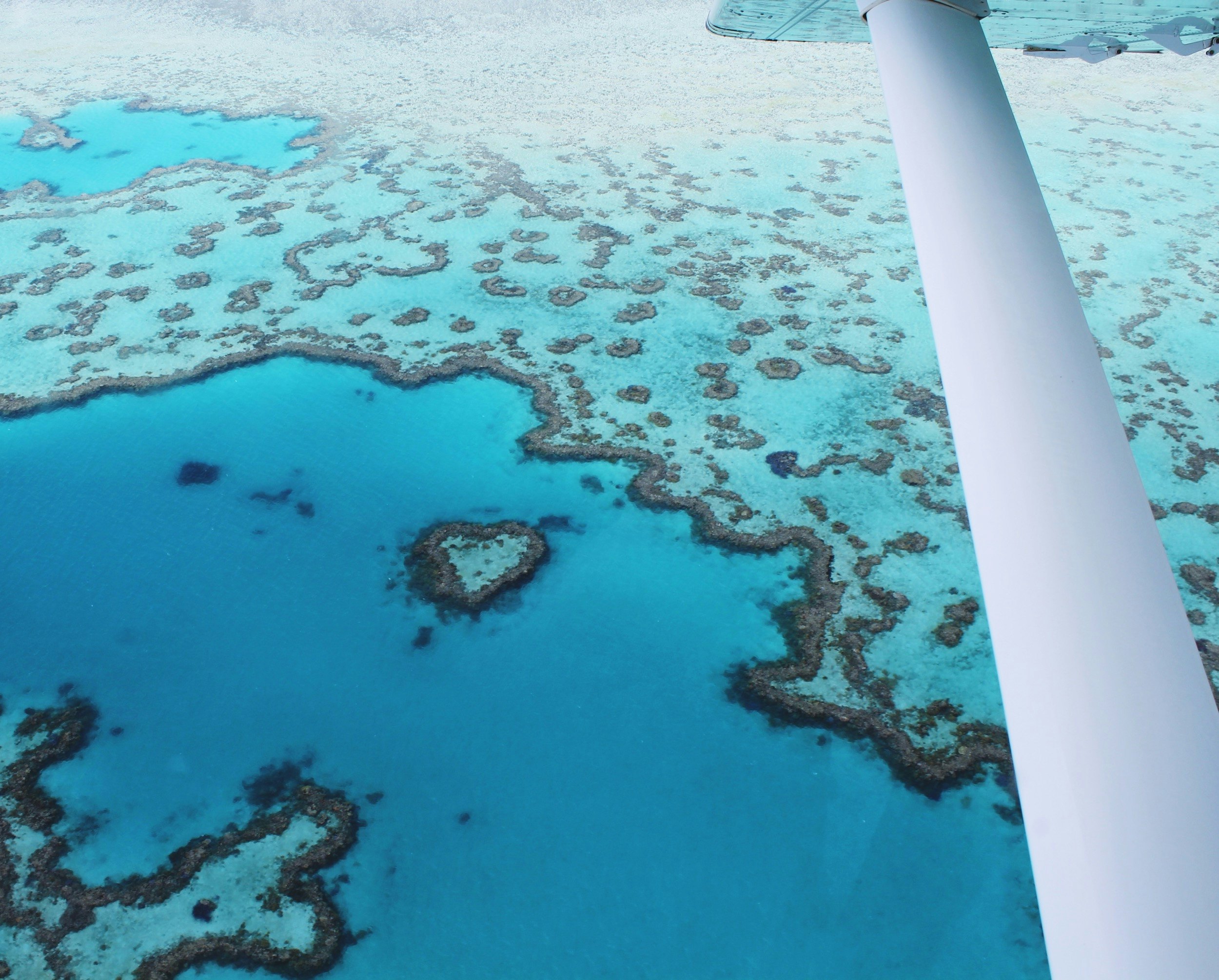 Plane view of the famous Heart Reef (Great Barrier Reef) at the coastline of Airlie Beach near the Whitsunday Islands (Whitsunday Islands, Australia)