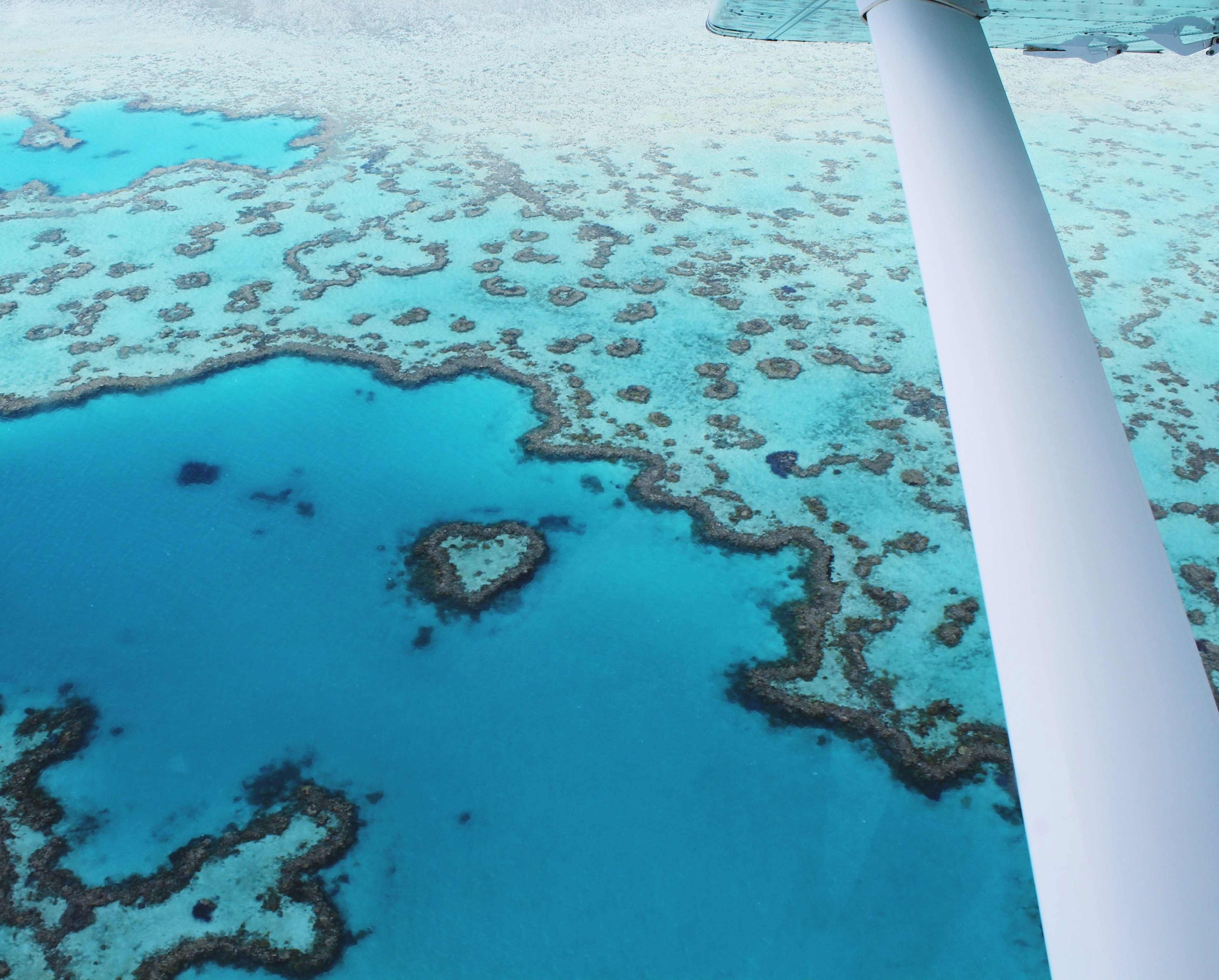 Queensland_Air_Heart_Reef.jpg