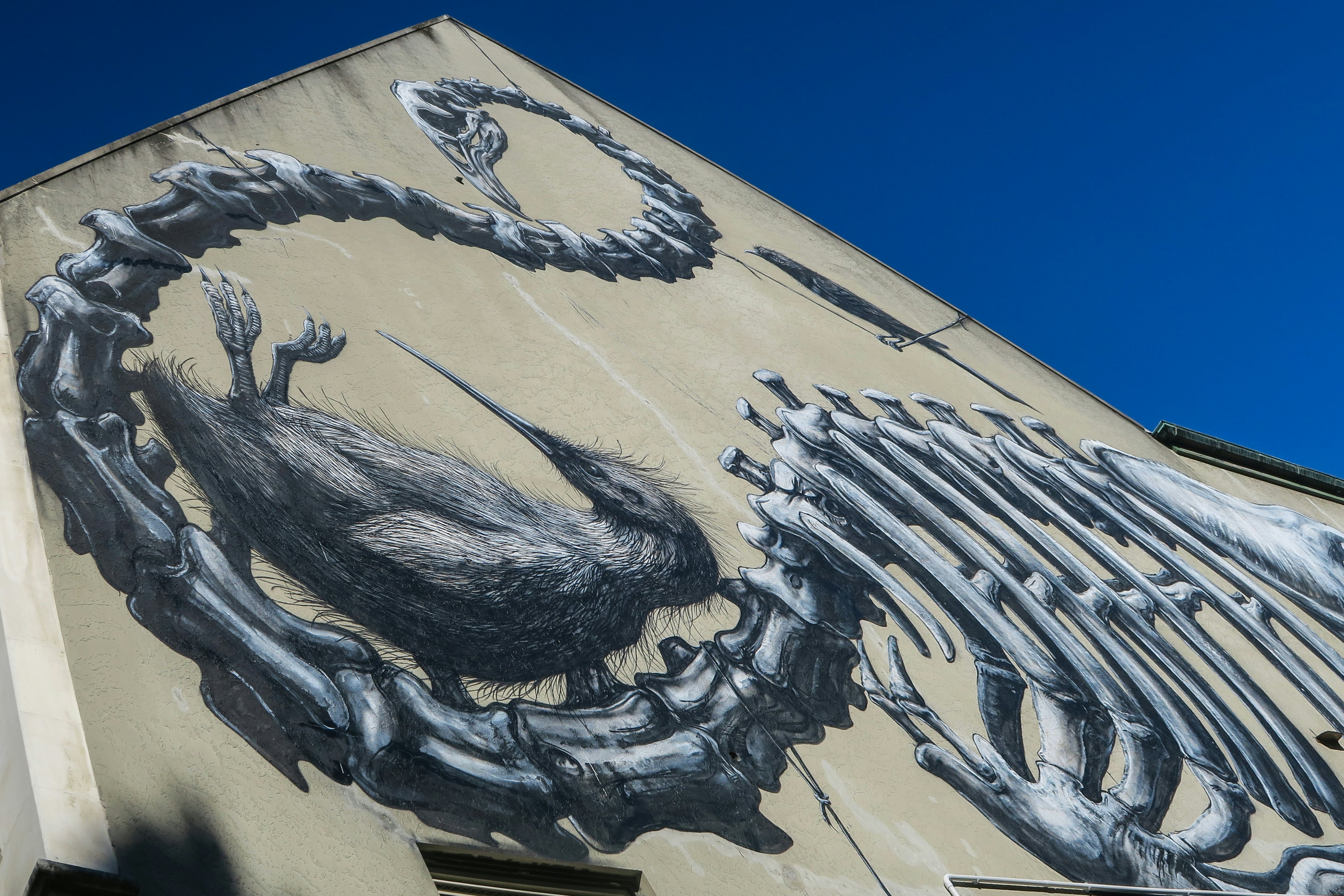 ROA street art in Christchurch