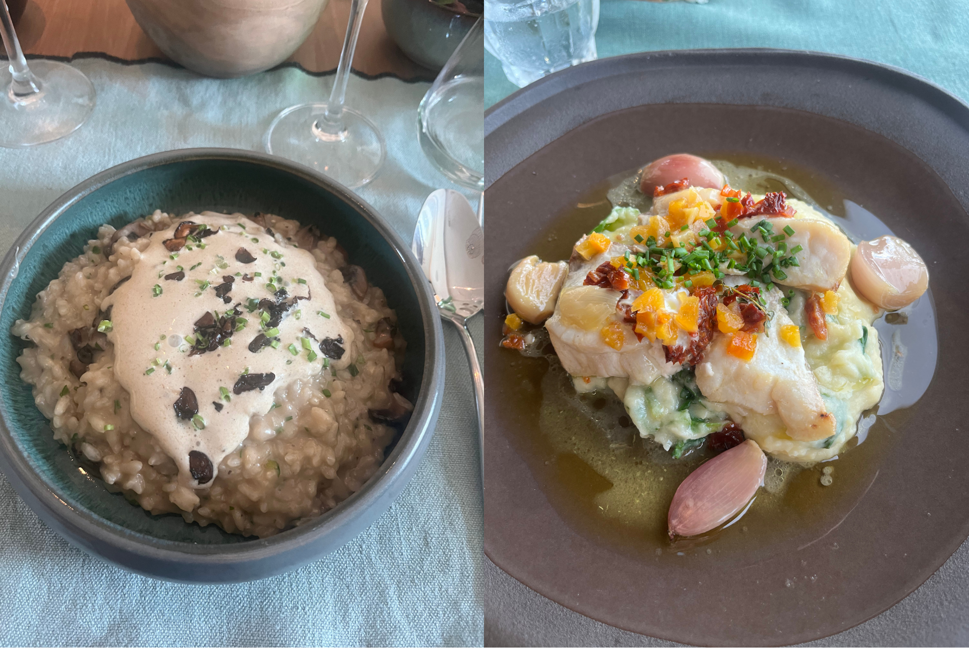A collage image - mushroom risotto on the left and a fish dish on the right