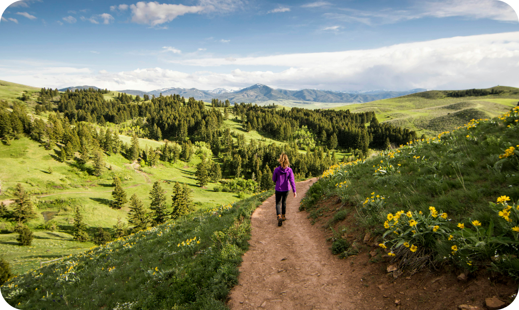Hiking near Bozeman, Montana
