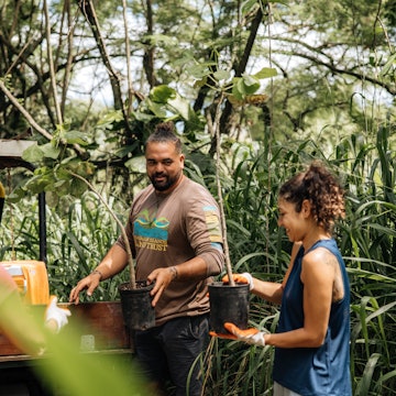 Kiai Collier of Hawaii Land Trust hands out plants to volunteers. Waihee Coastal Dunes and Wetlands Refuge, Wailuku, Maui