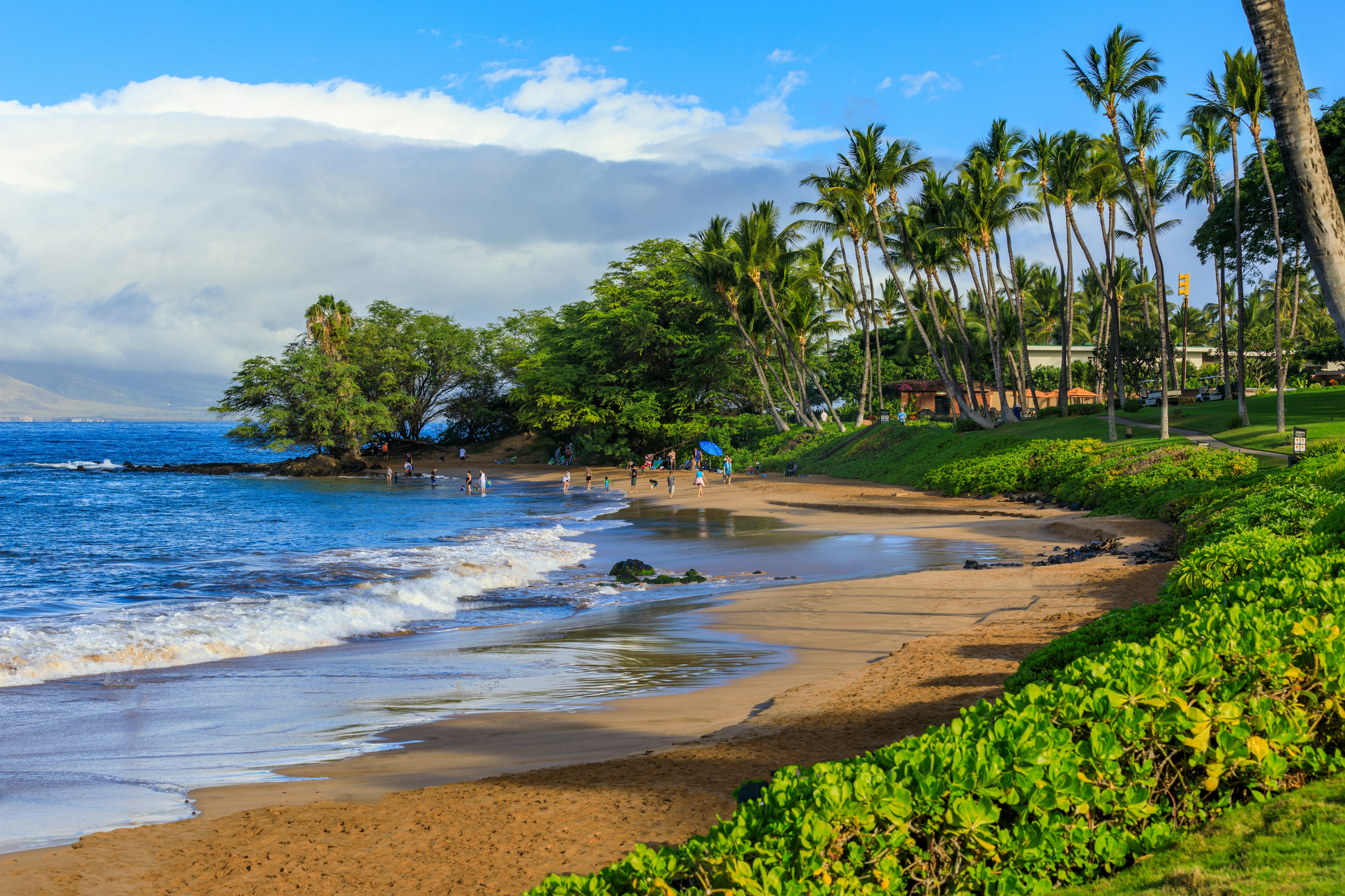 People walk along a palm-lined beach