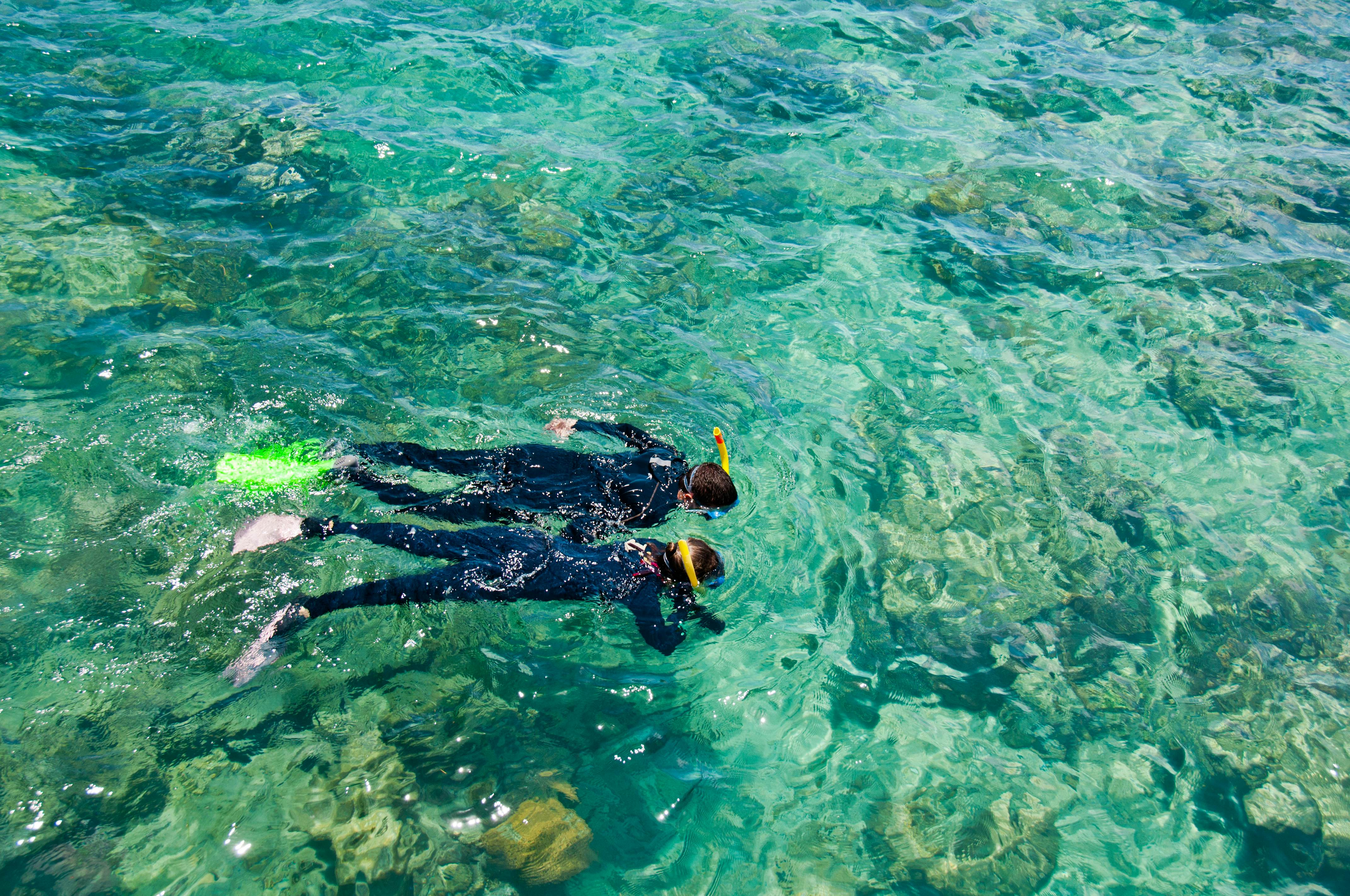 Cairns Dive