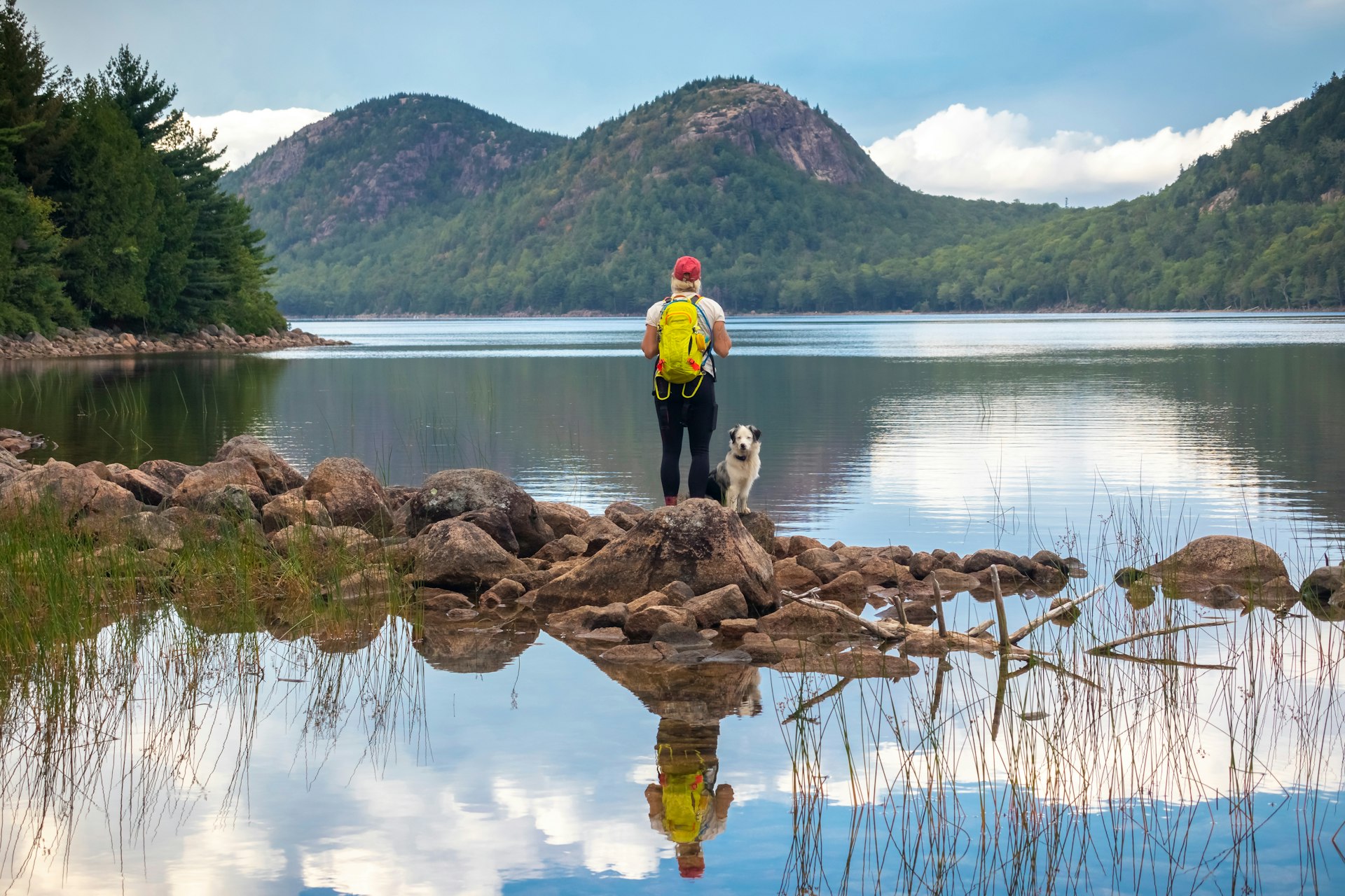 A hikers stands with her dog looking out at a view over a lake