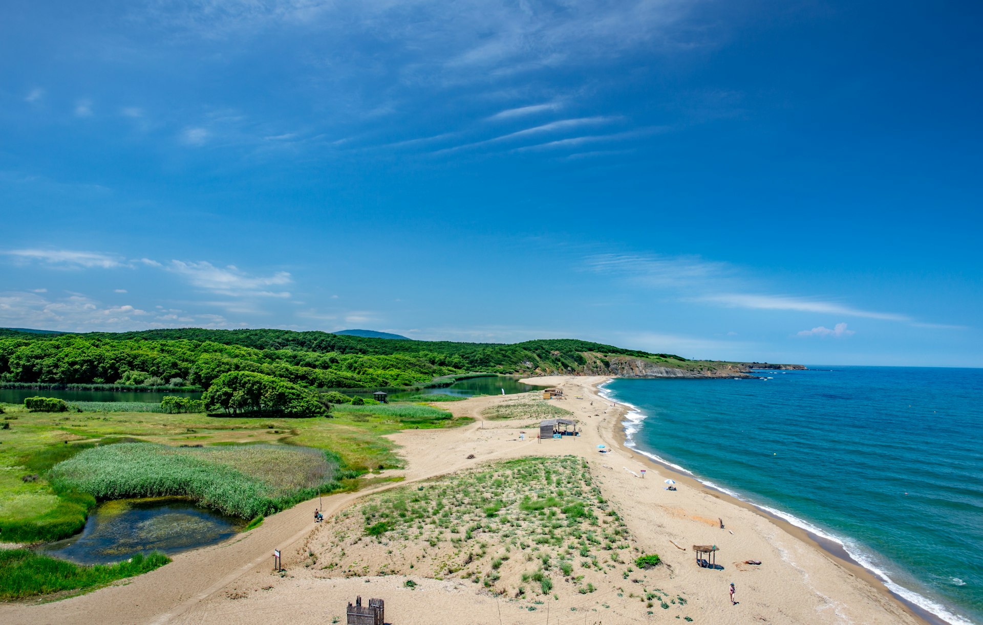 A sandy beach backed by some greenery